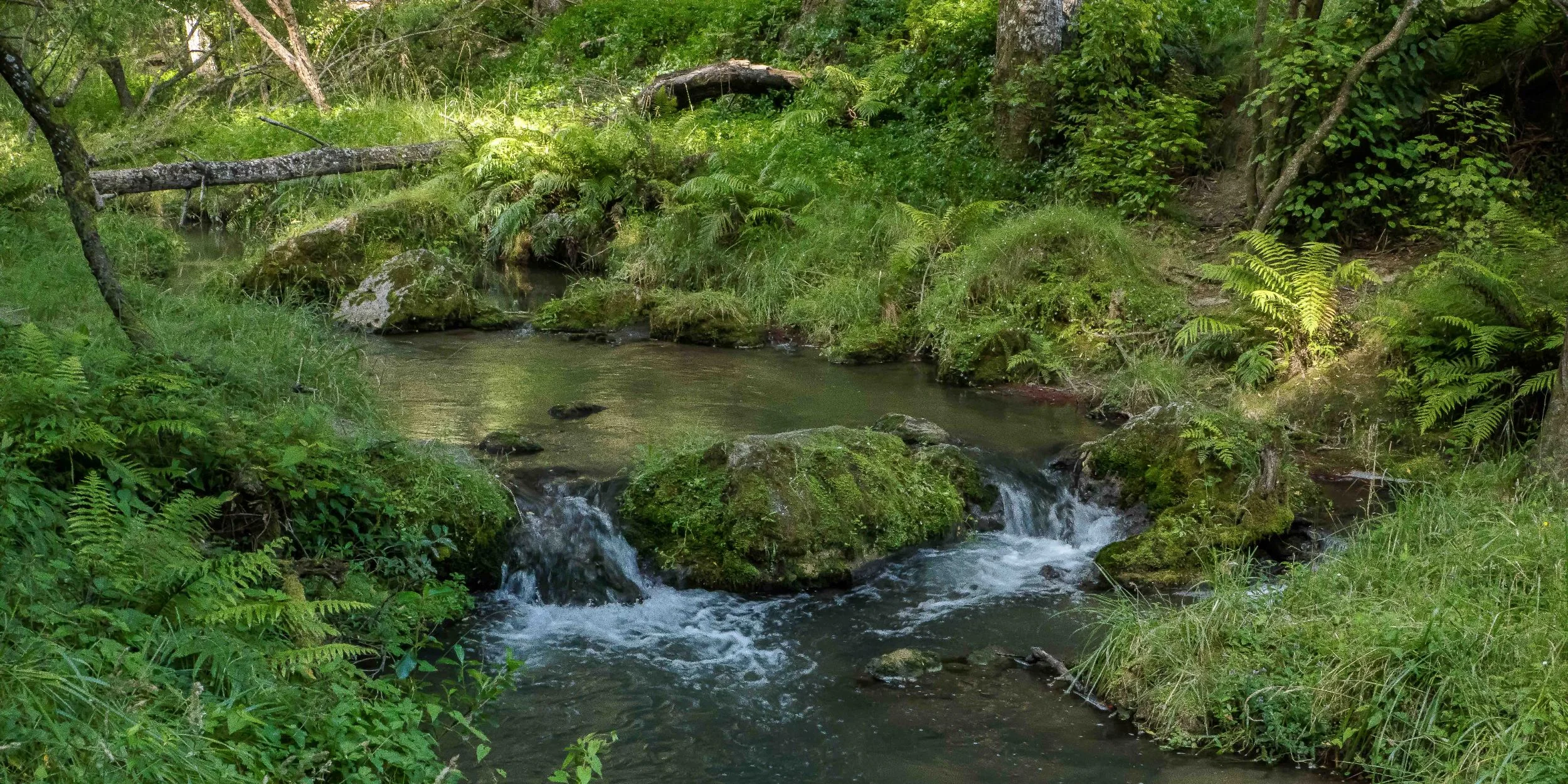Hawke's Bay,Te Ana Falls,-648.JPG
