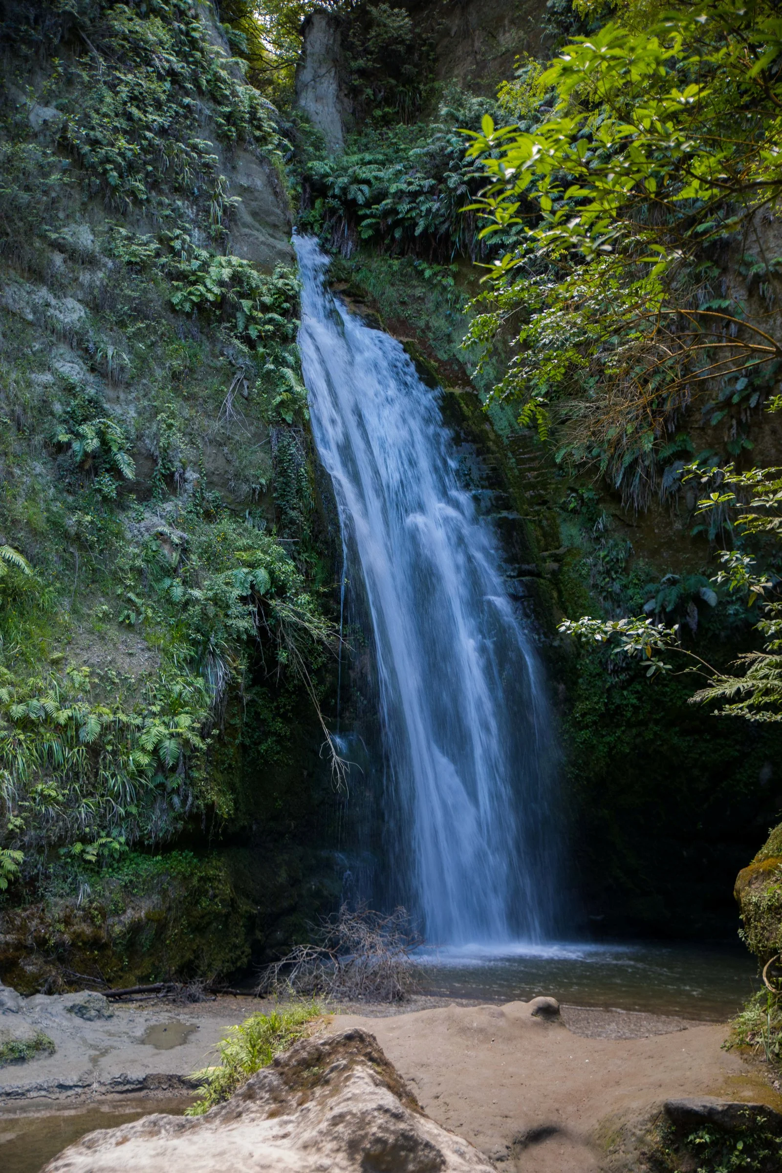 Hawke's Bay,Te Ana Falls,-666.JPG