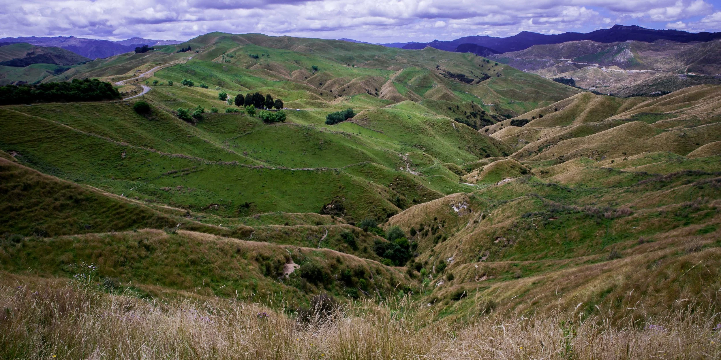 Hawke's Bay,Tutira,-566.JPG