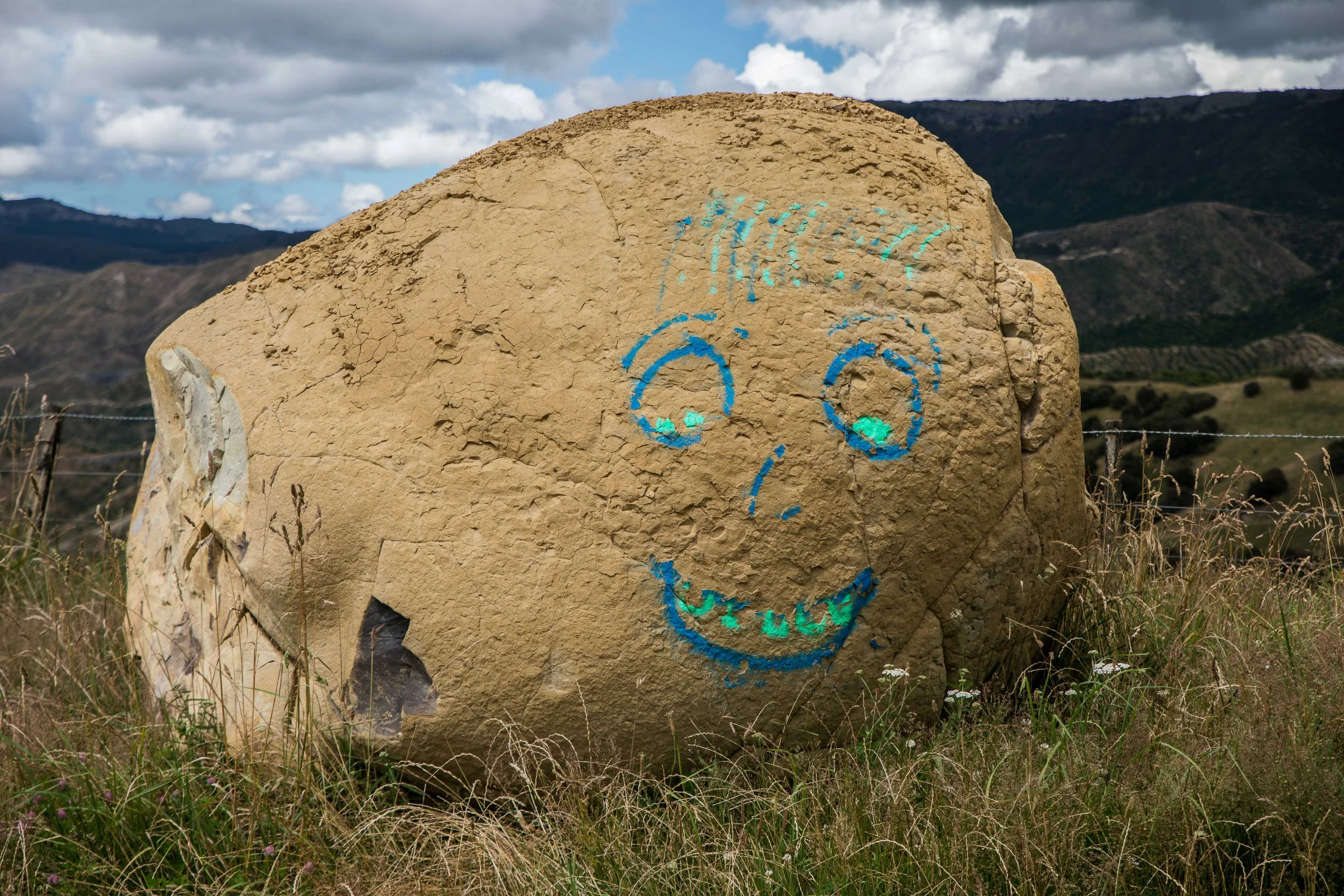 Hawke's Bay,Tutira,-572.JPG