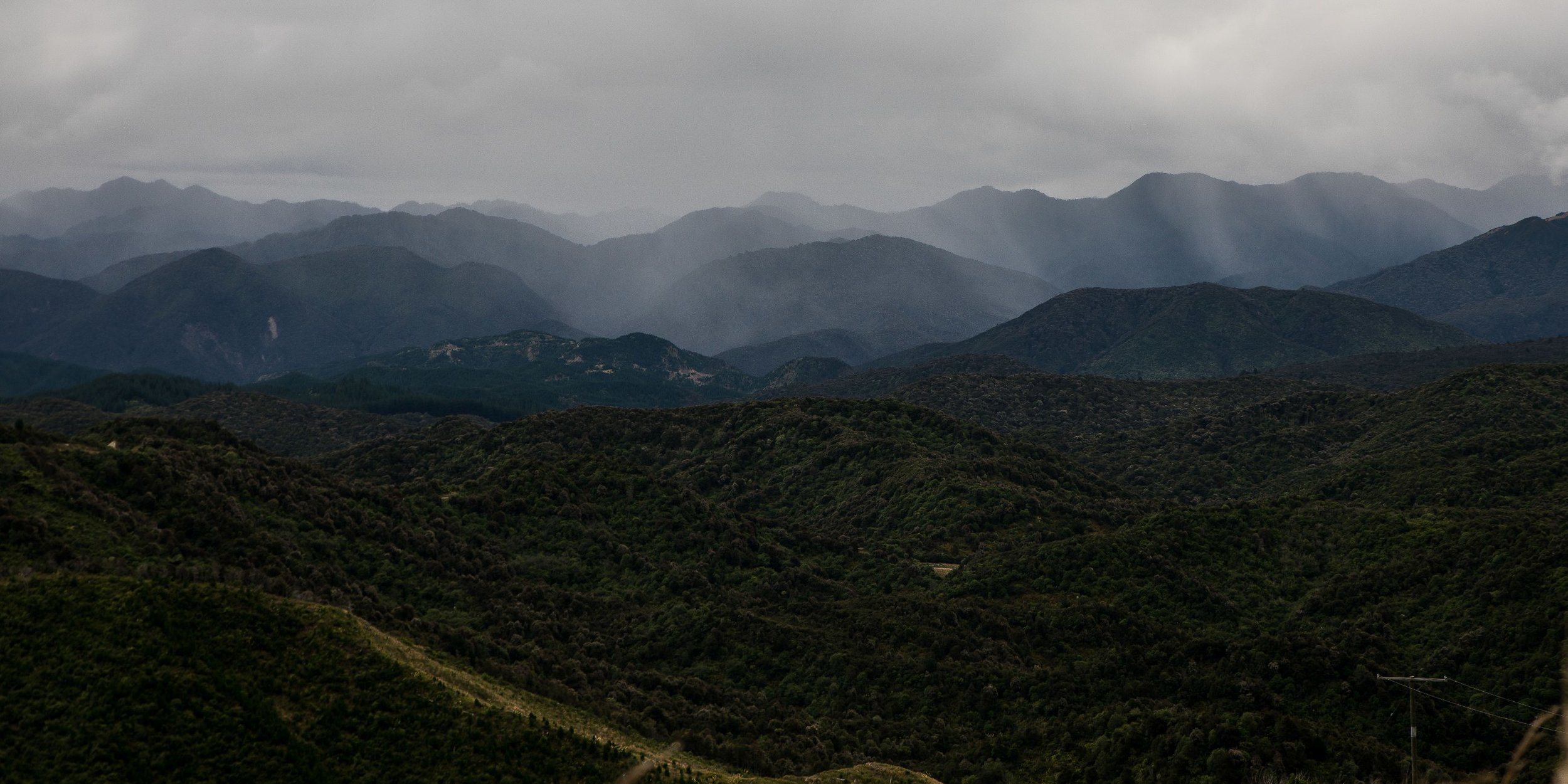 Hawke's Bay,Tutira,-579.JPG