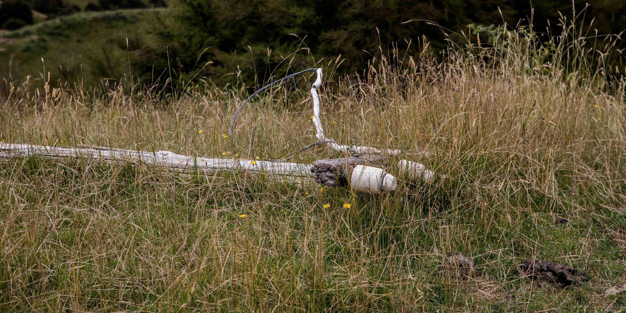 Hawke's Bay,Tutira,-576.JPG