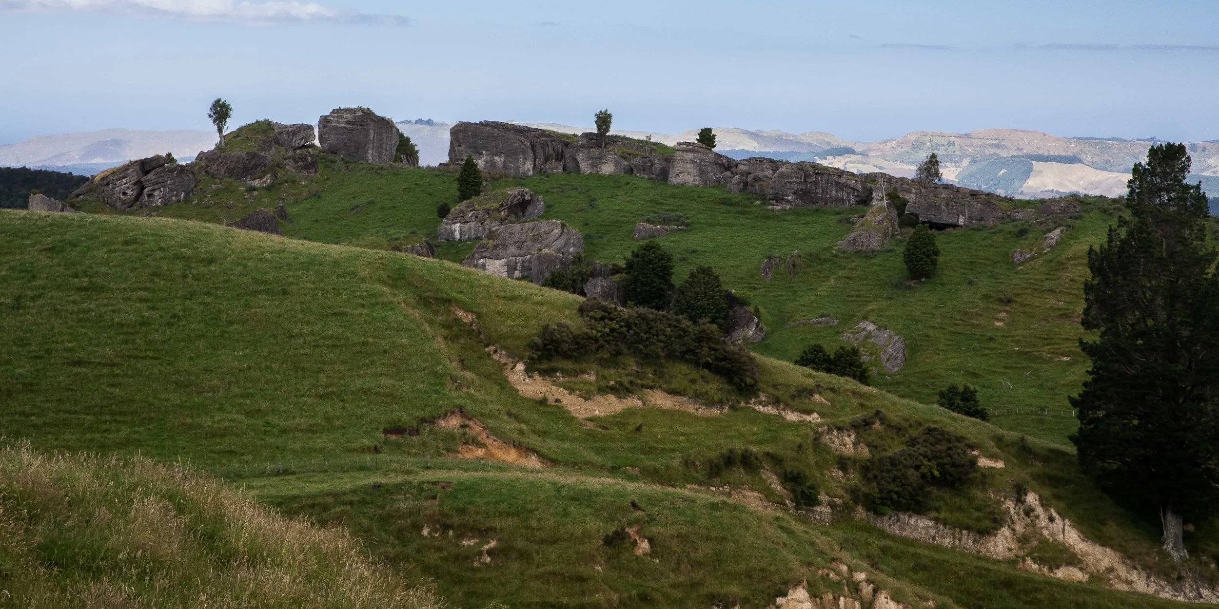 Hawke's Bay,Tutira,-586.JPG