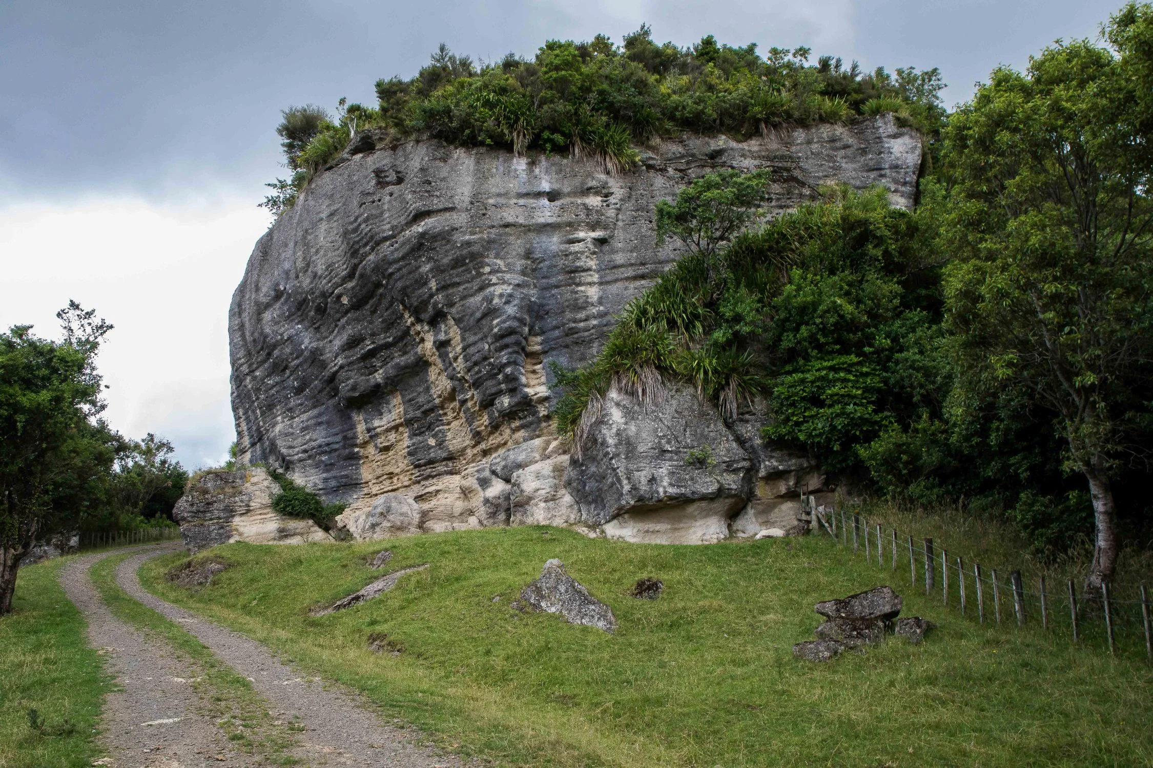 Hawke's Bay,Tutira,-588.JPG