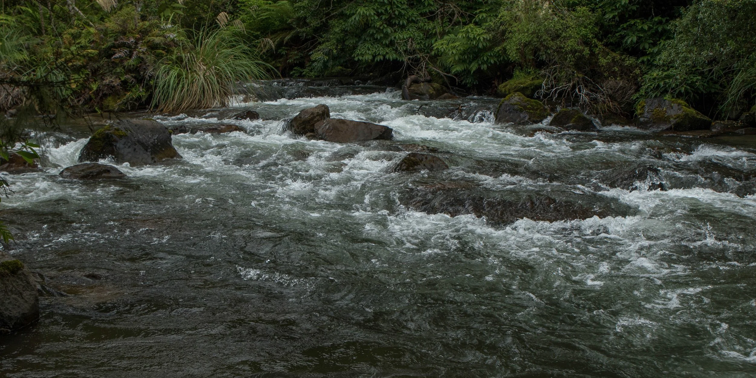 Pohokura,Hawkes Bay,-261.JPG