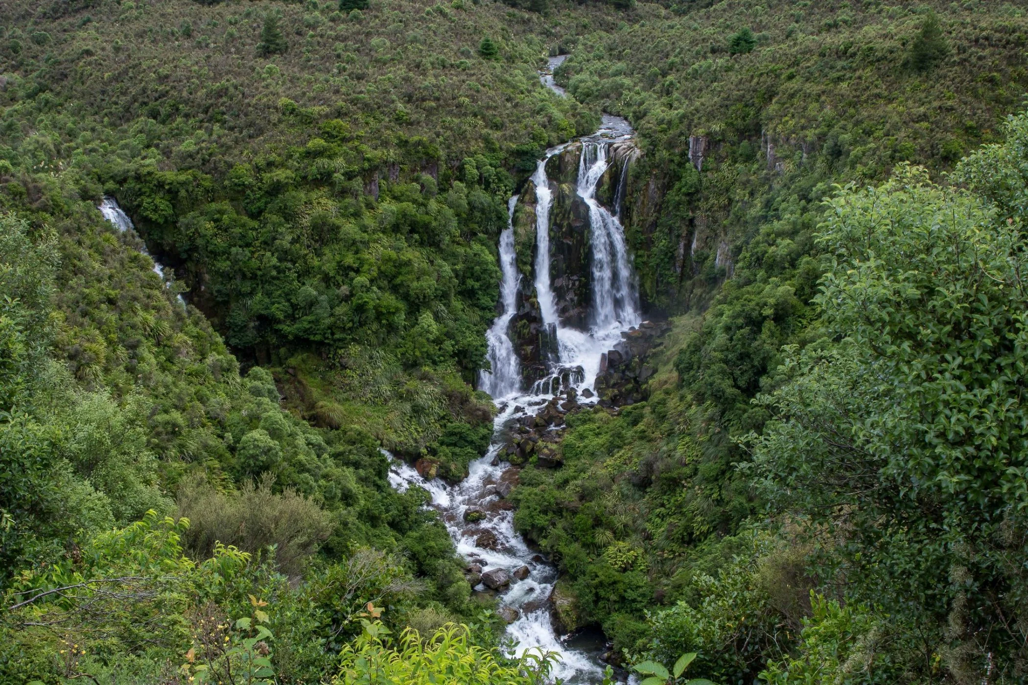 Waipunga Falls,-228.JPG