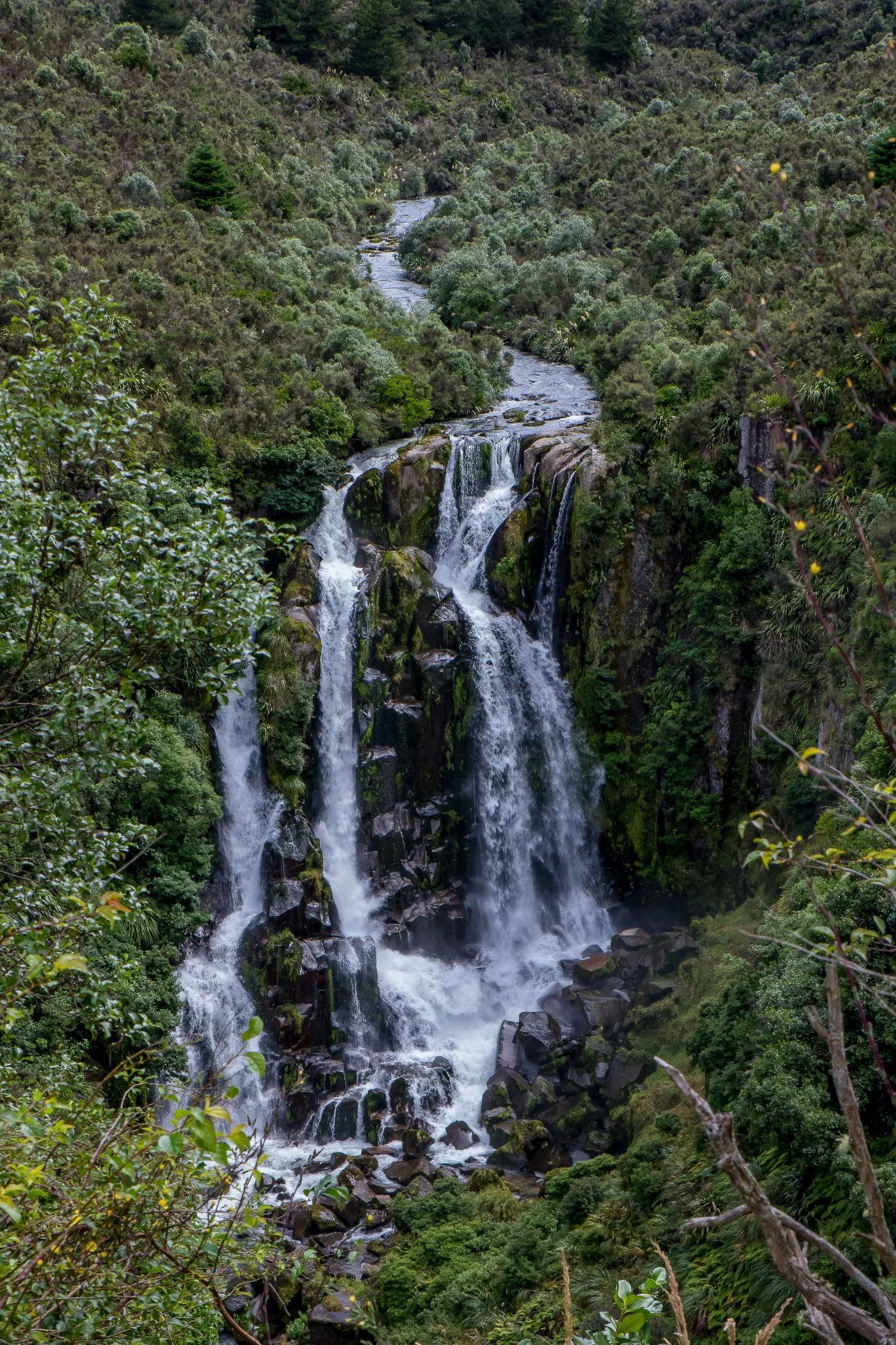 Waipunga Falls,-233.JPG