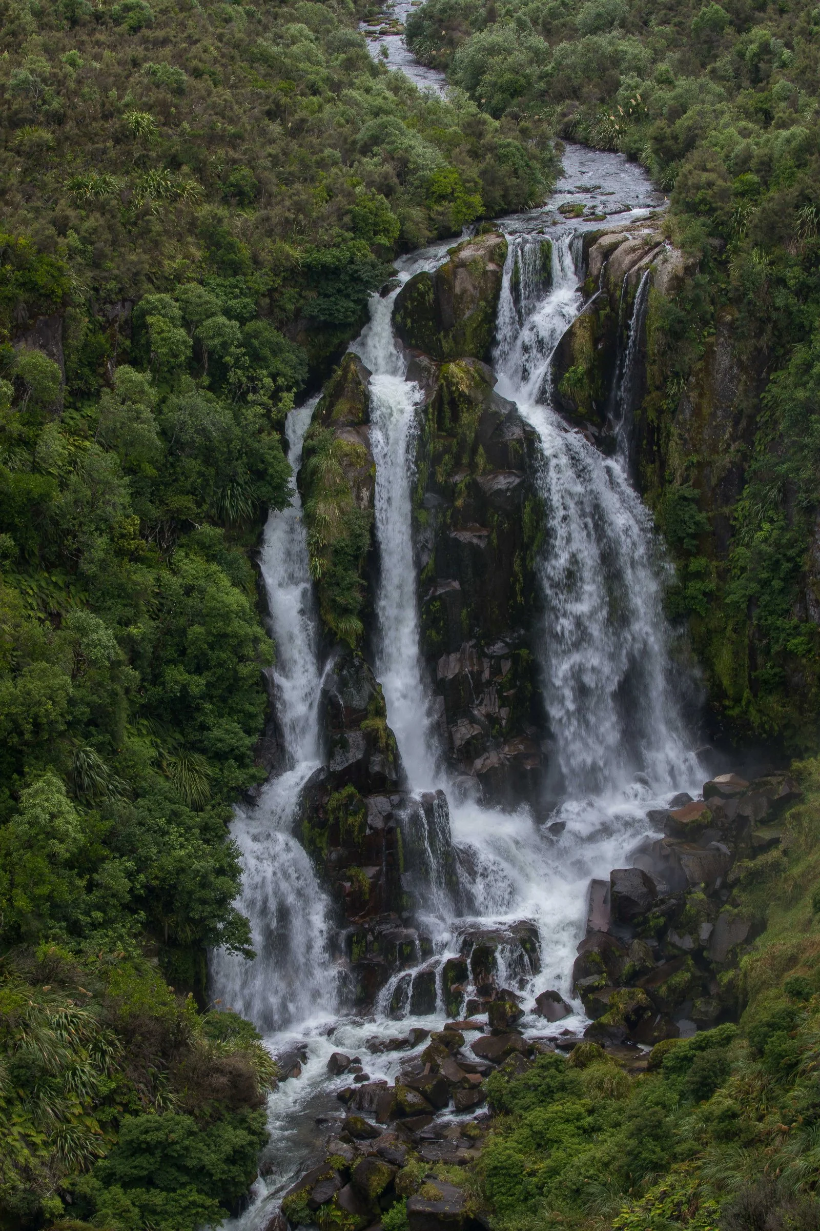 Waipunga Falls,-506.JPG