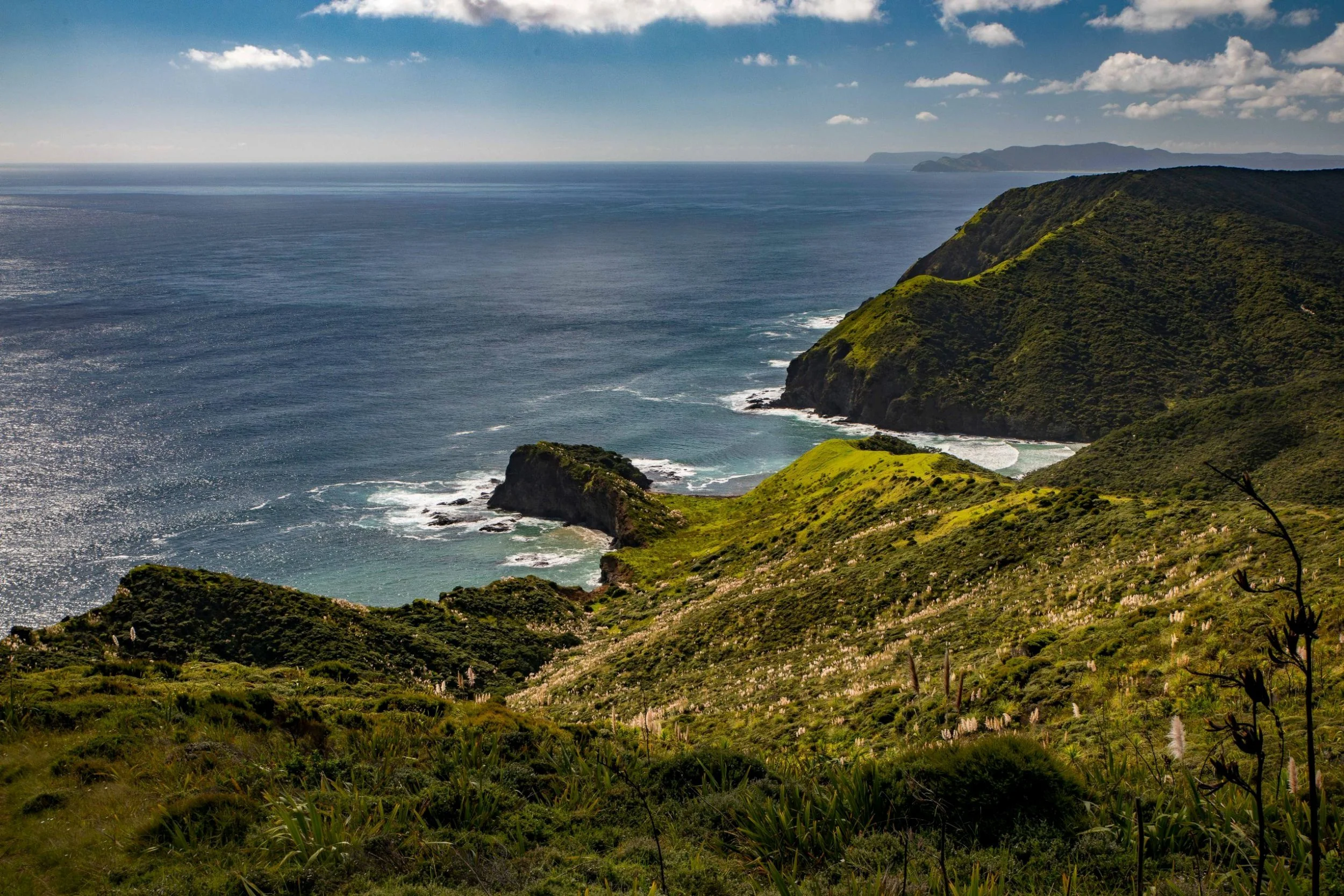 Cape Reinga,East of,Far North,-352.JPG