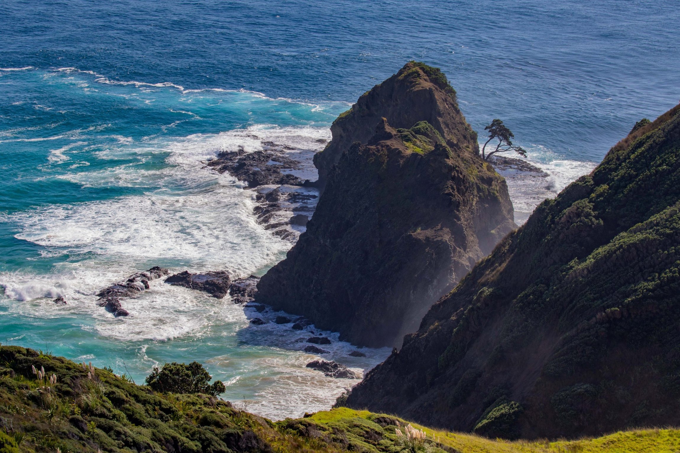 Cape Reinga,Te Rerenga Wairua,,-484.JPG