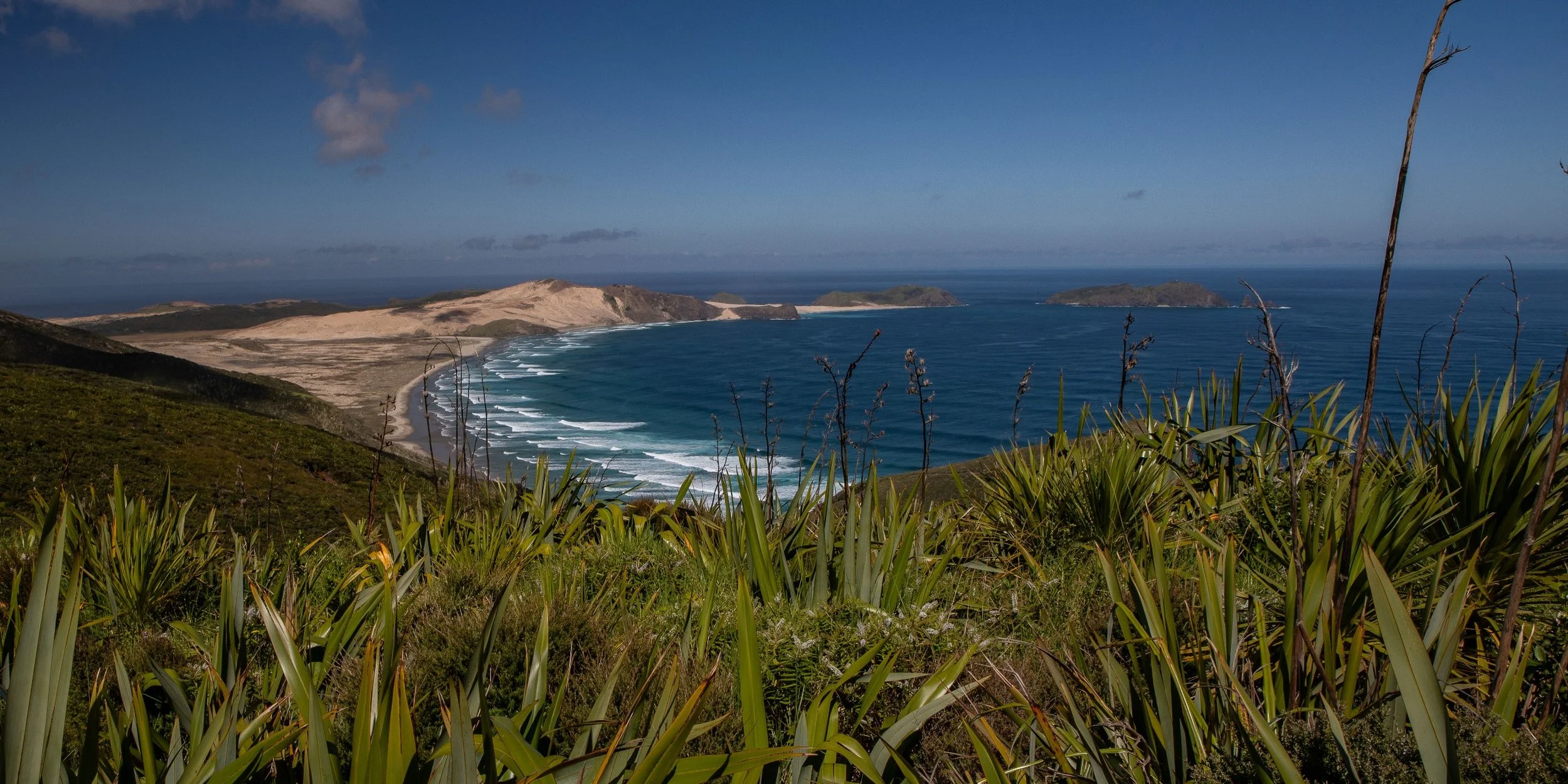 Cape Reinga,Te Werahi Bay,Far North,-379.JPG