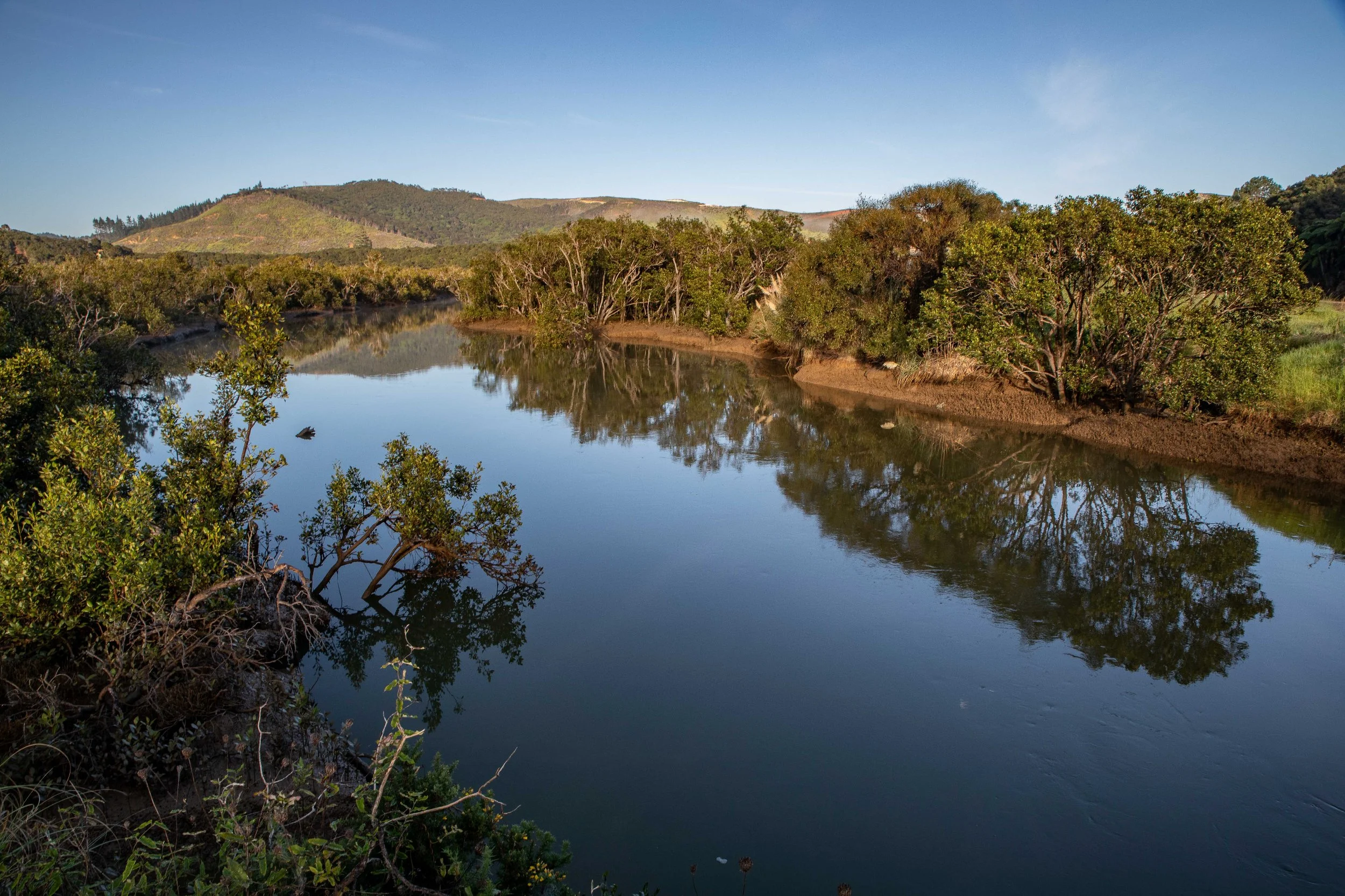 Oruaiti River,Far North,-327.JPG