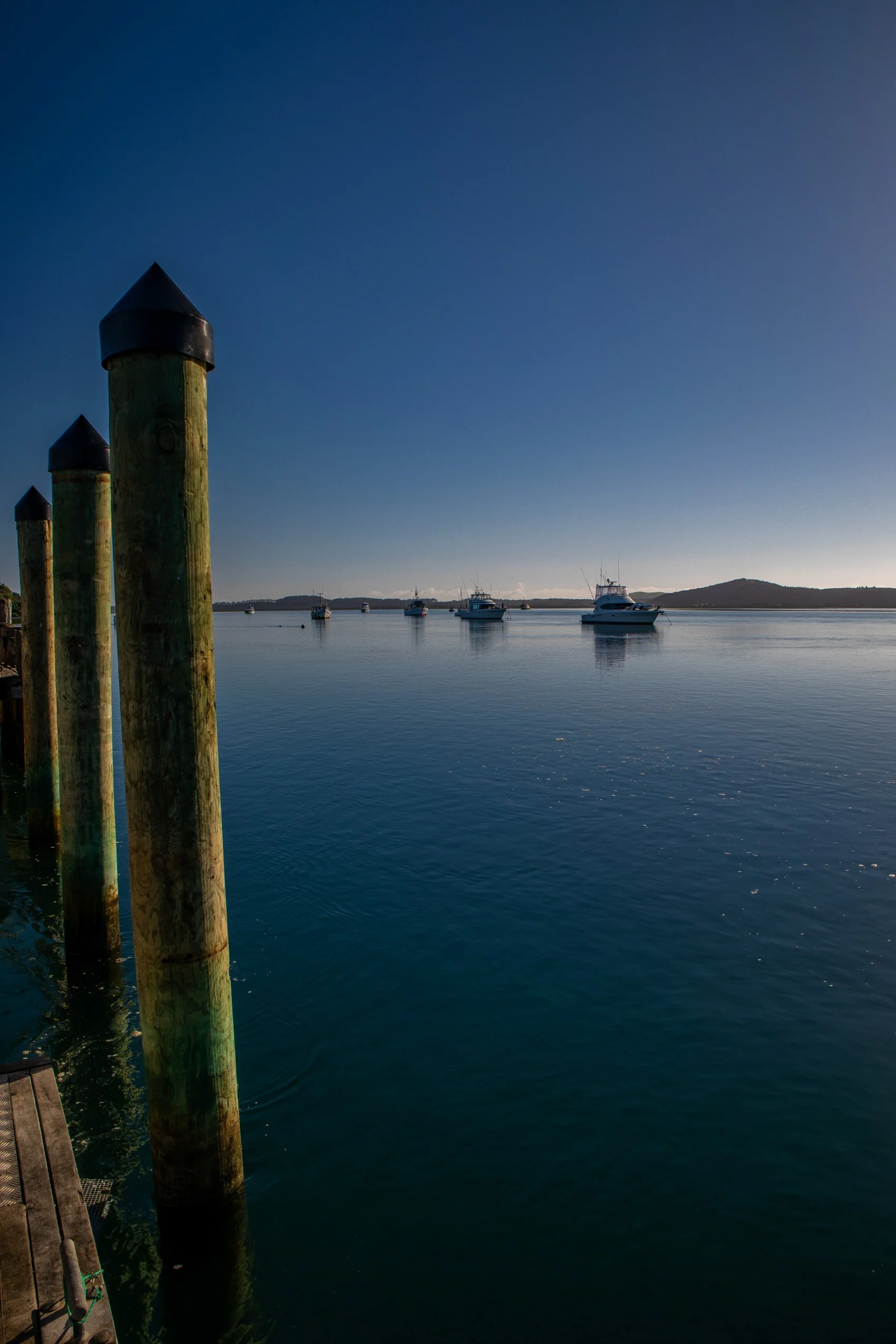 Pukenui,Far North,-334.JPG