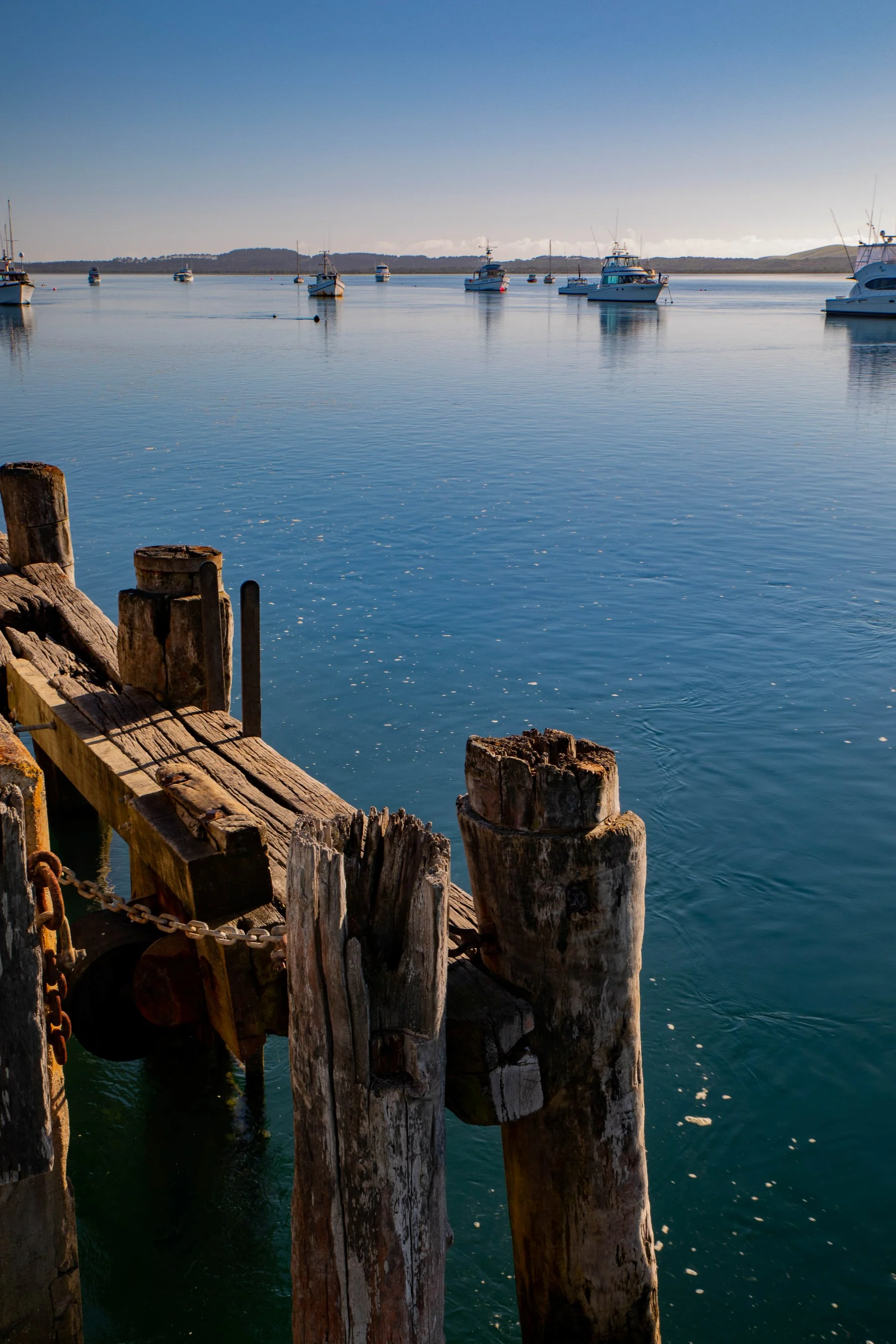 Pukenui,Far North,-336.JPG