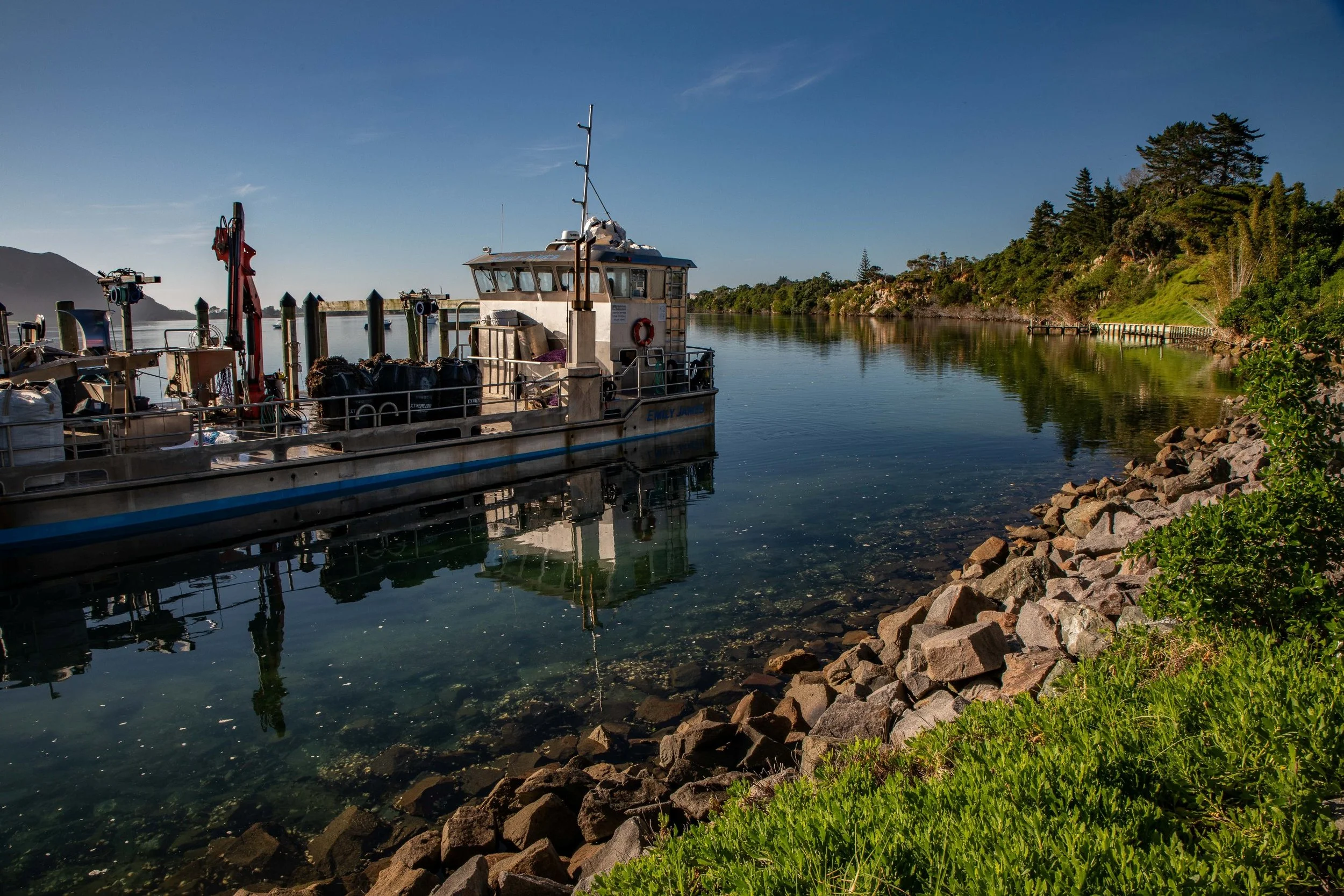 Pukenui,Far North,-340.JPG