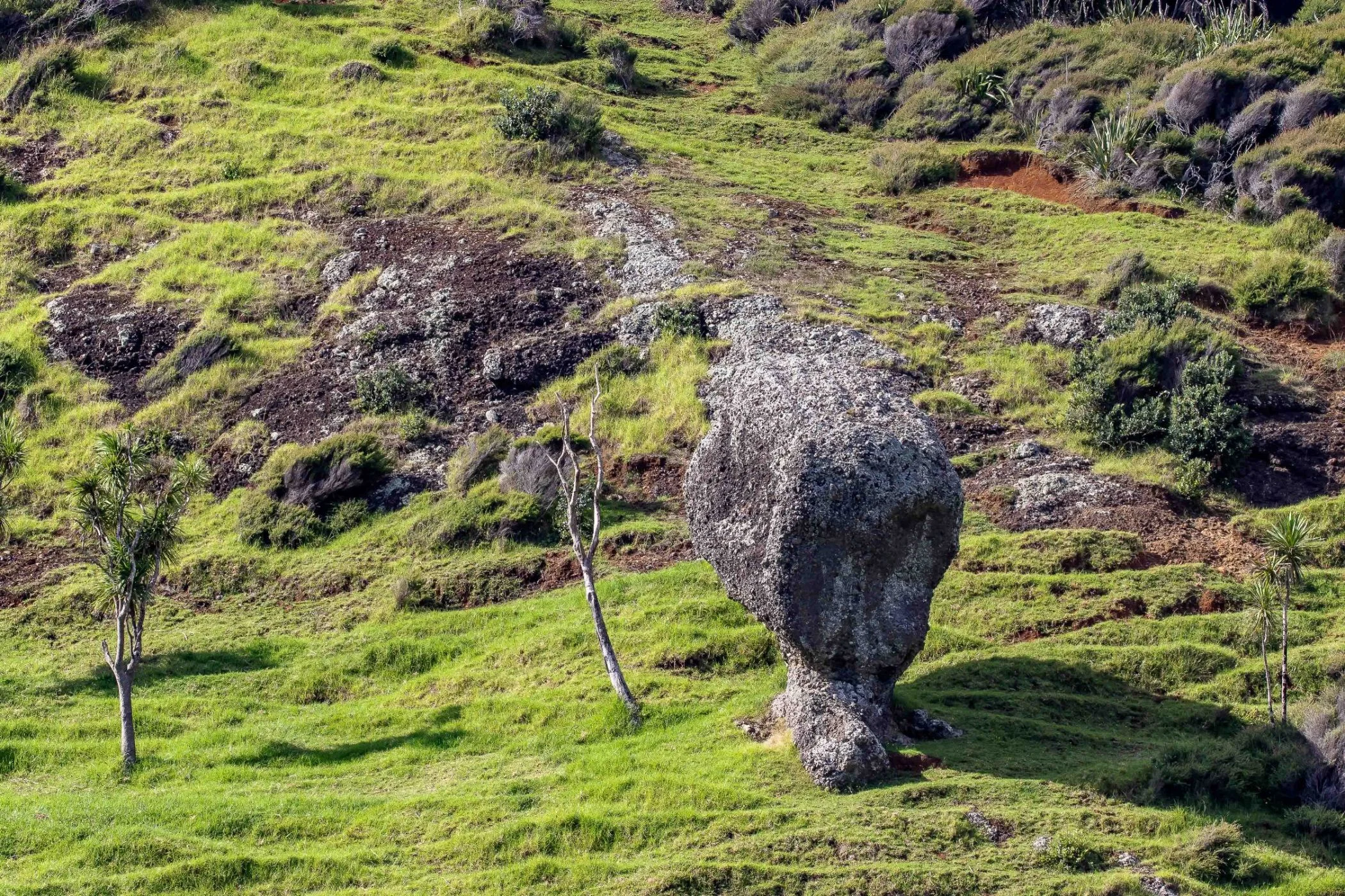 Spirits Bay,-520.JPG