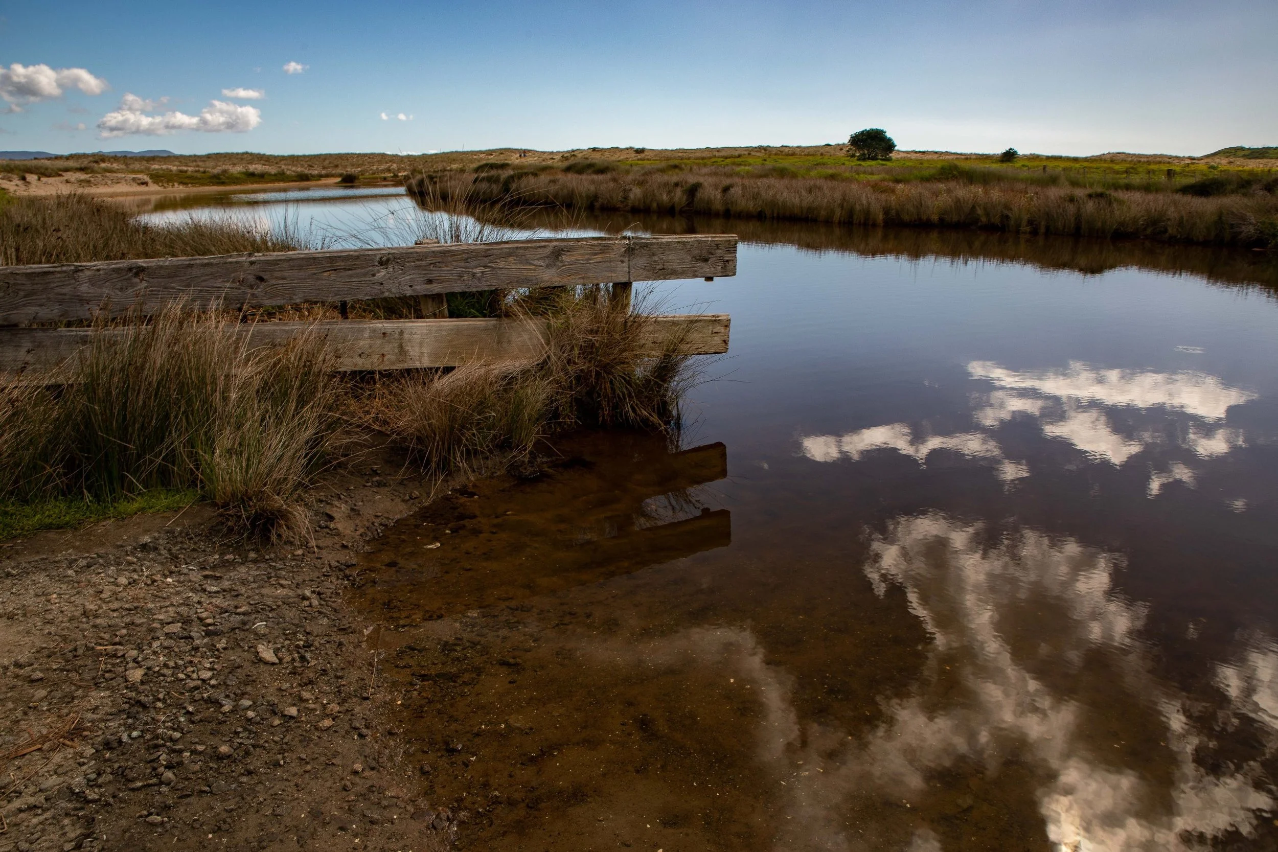 Spirits Bay,Far North,-439.JPG