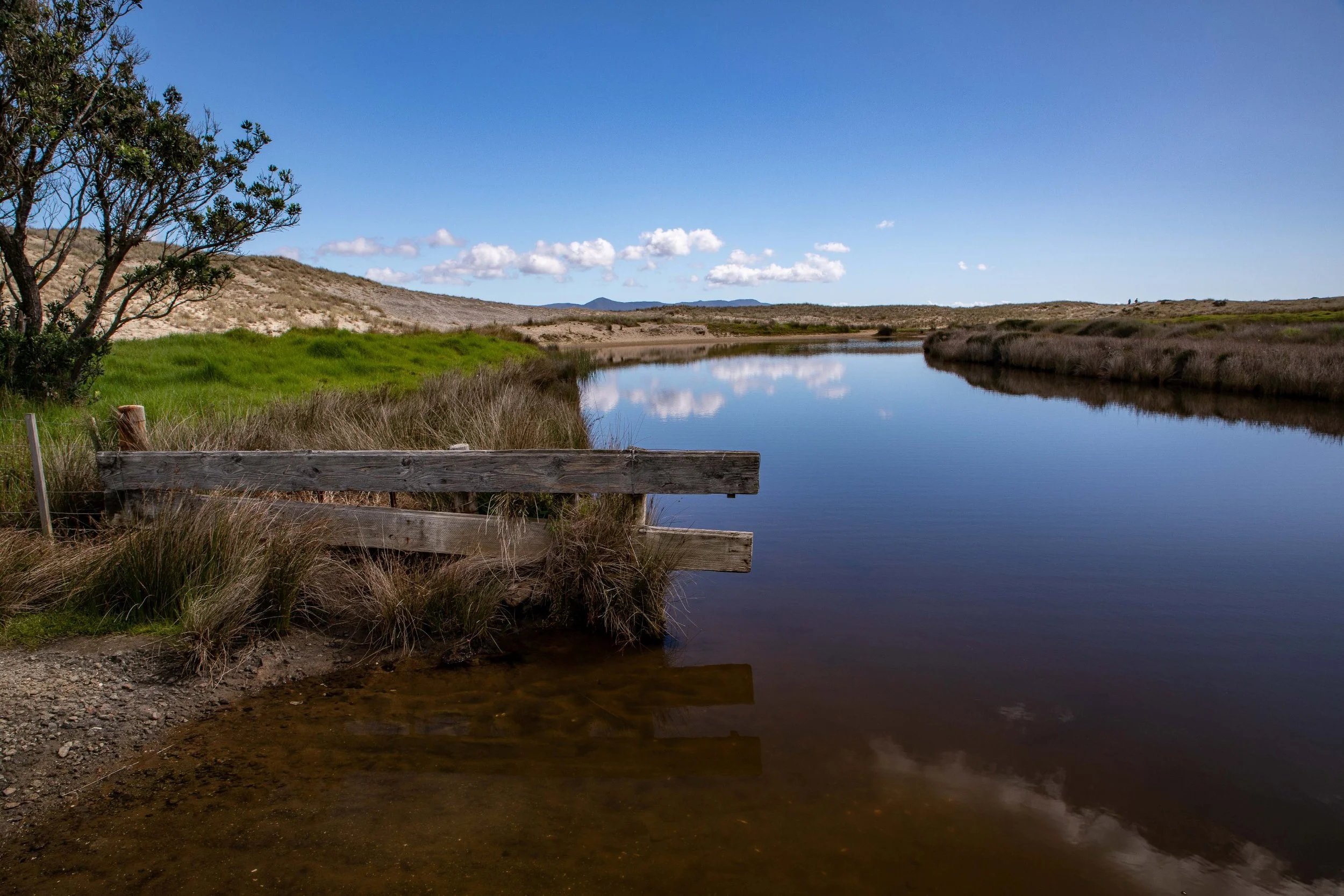 Spirits Bay,Far North,-440.JPG