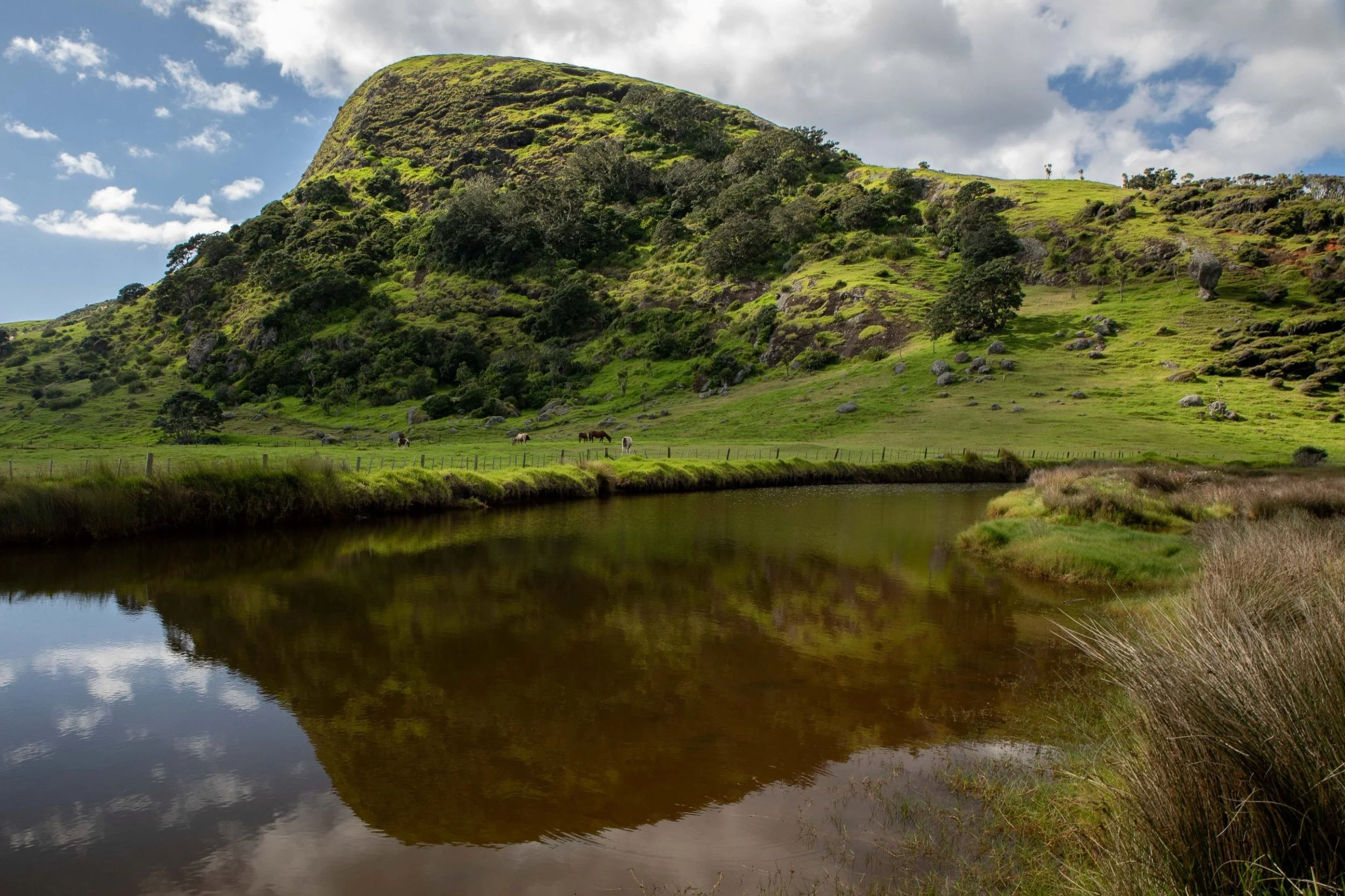 Spirits Bay,Far North,-441.JPG