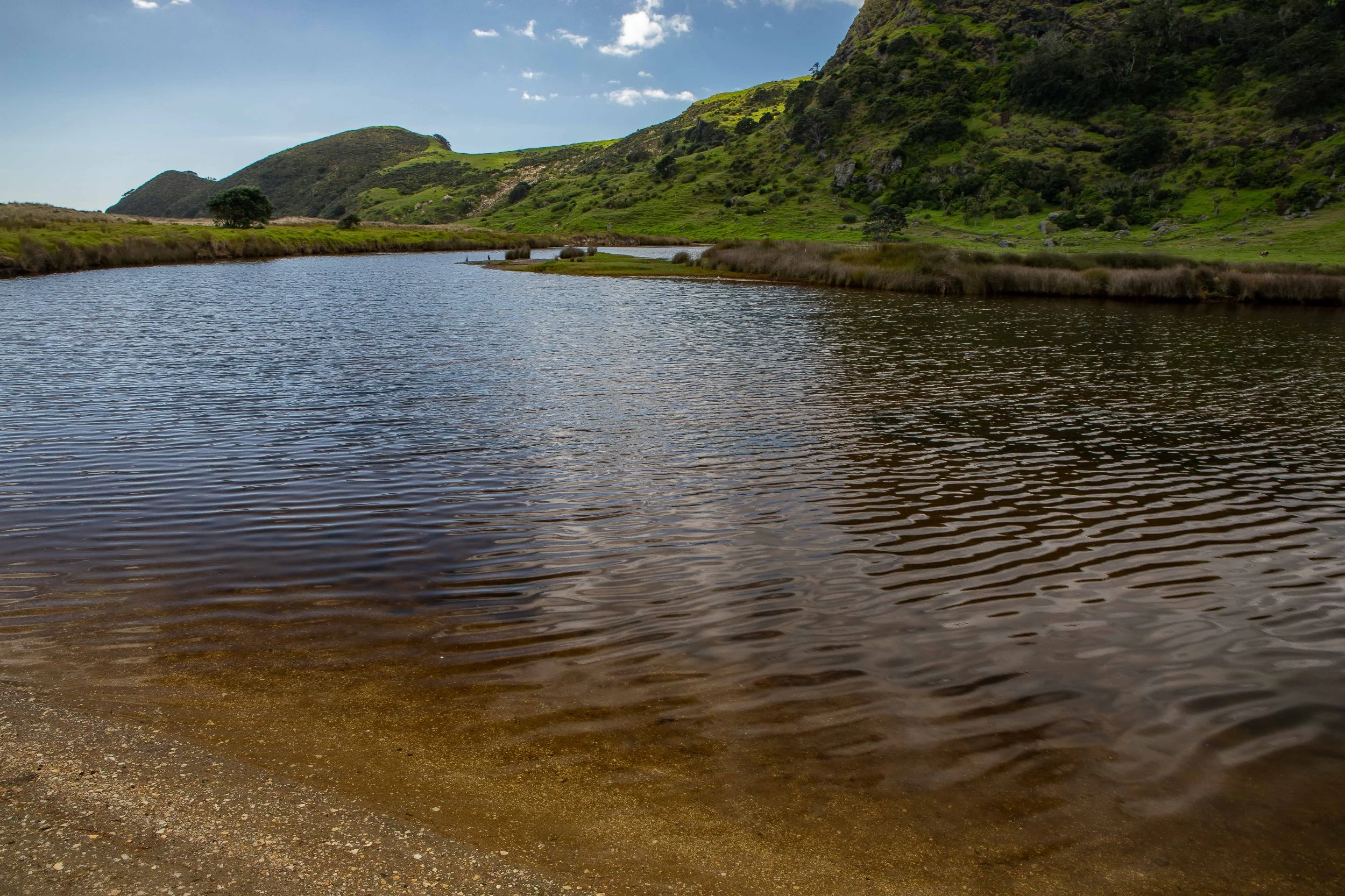 Spirits Bay,Far North,-442.JPG