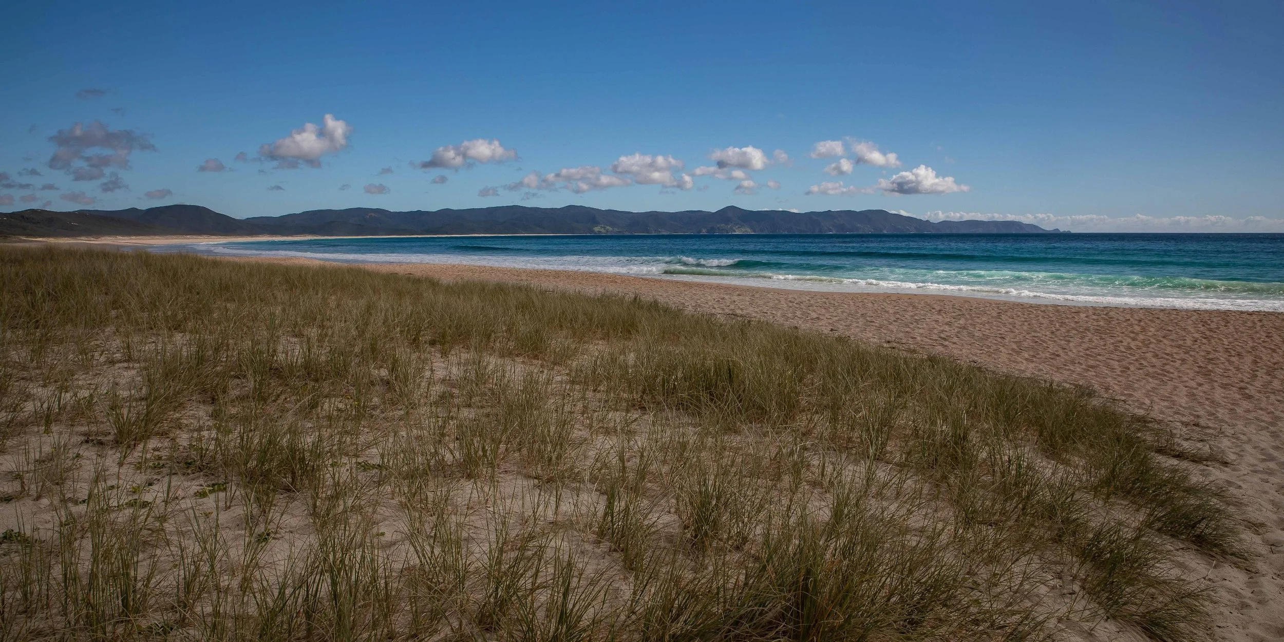 Spirits Bay,Far North,-443.JPG