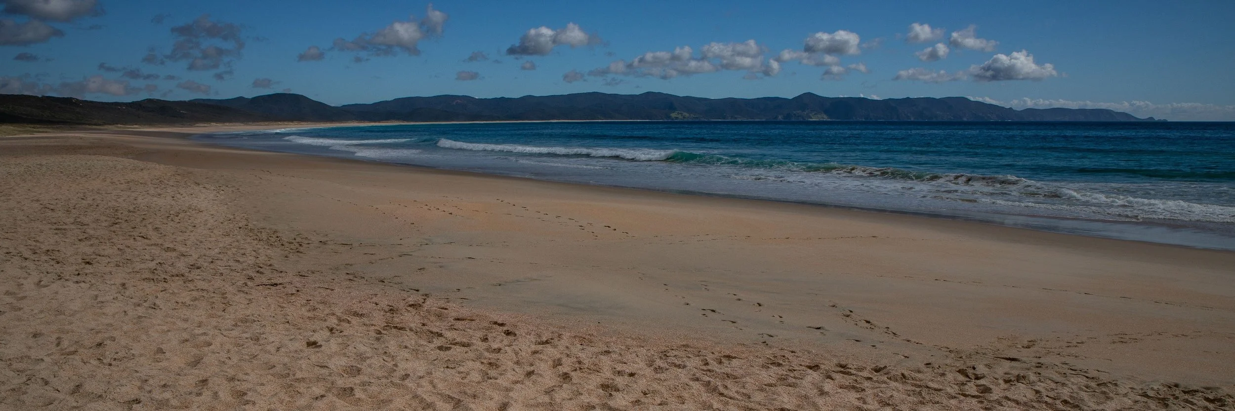 Spirits Bay,Far North,-444.JPG