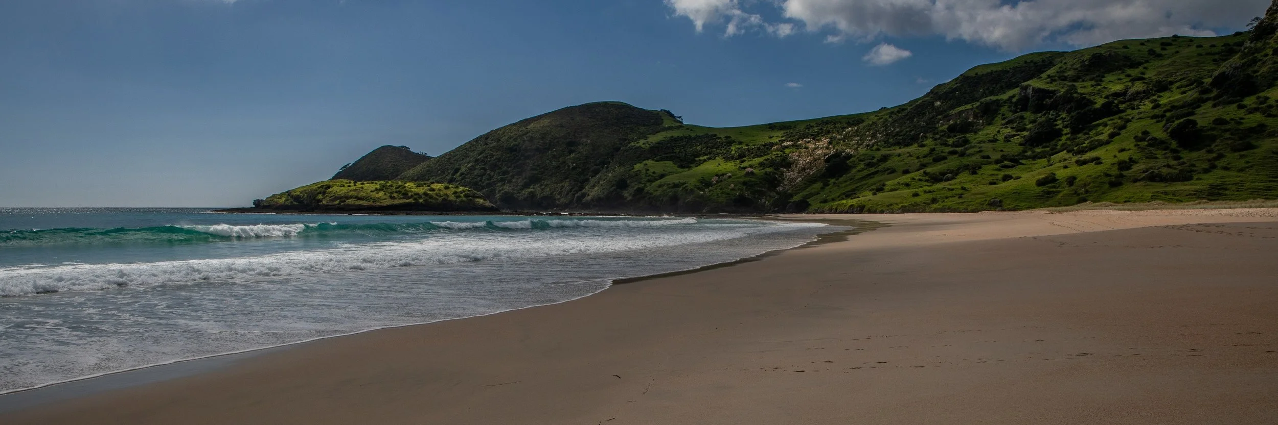 Spirits Bay,Far North,-445.JPG