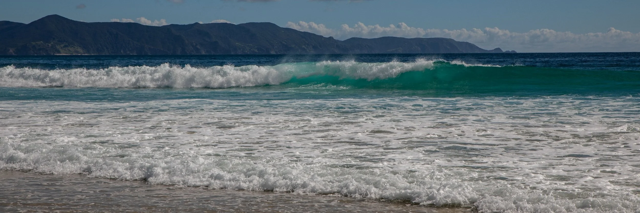 Spirits Bay,Far North,-450.JPG