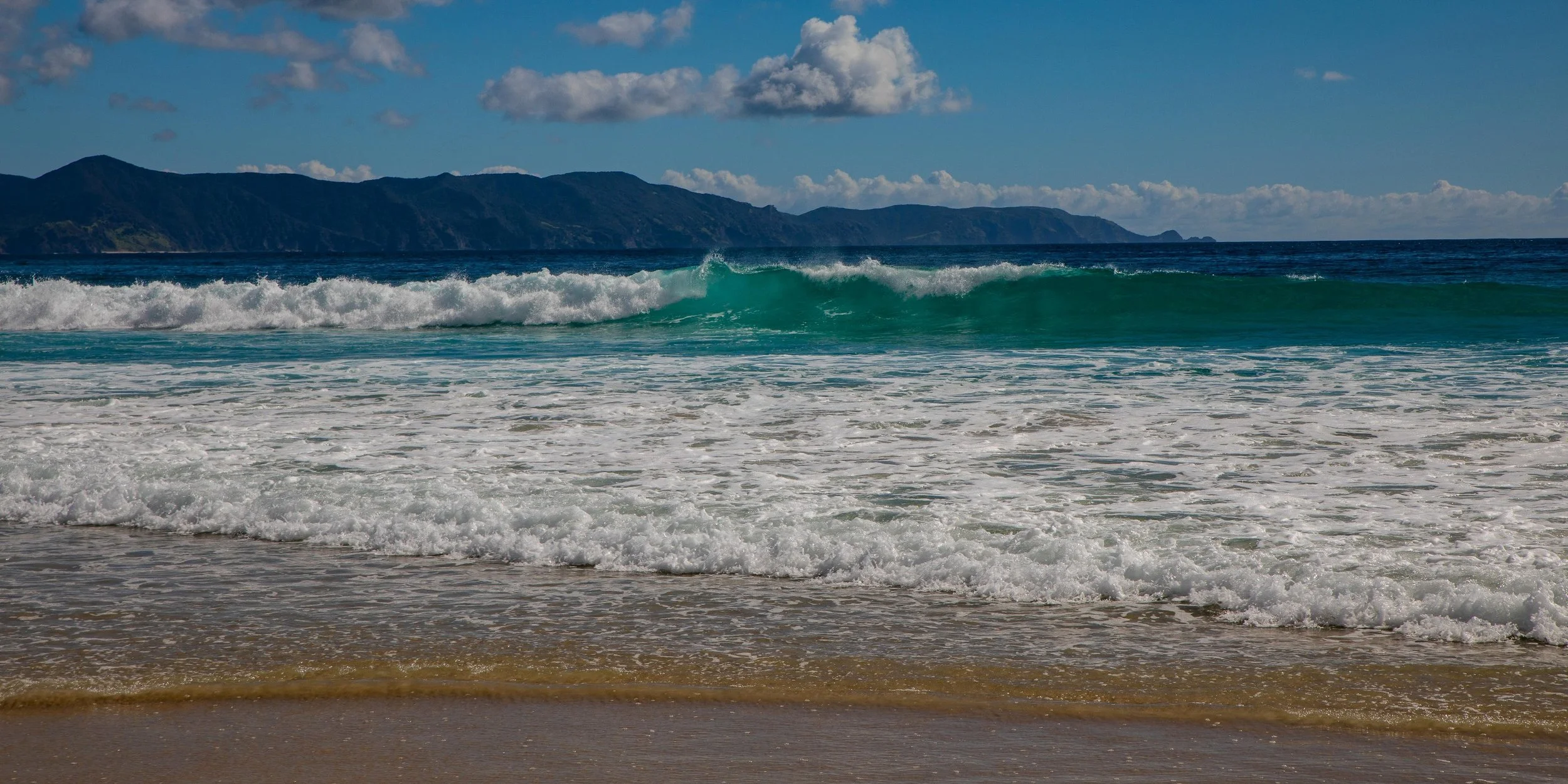 Spirits Bay,Far North,-449.JPG