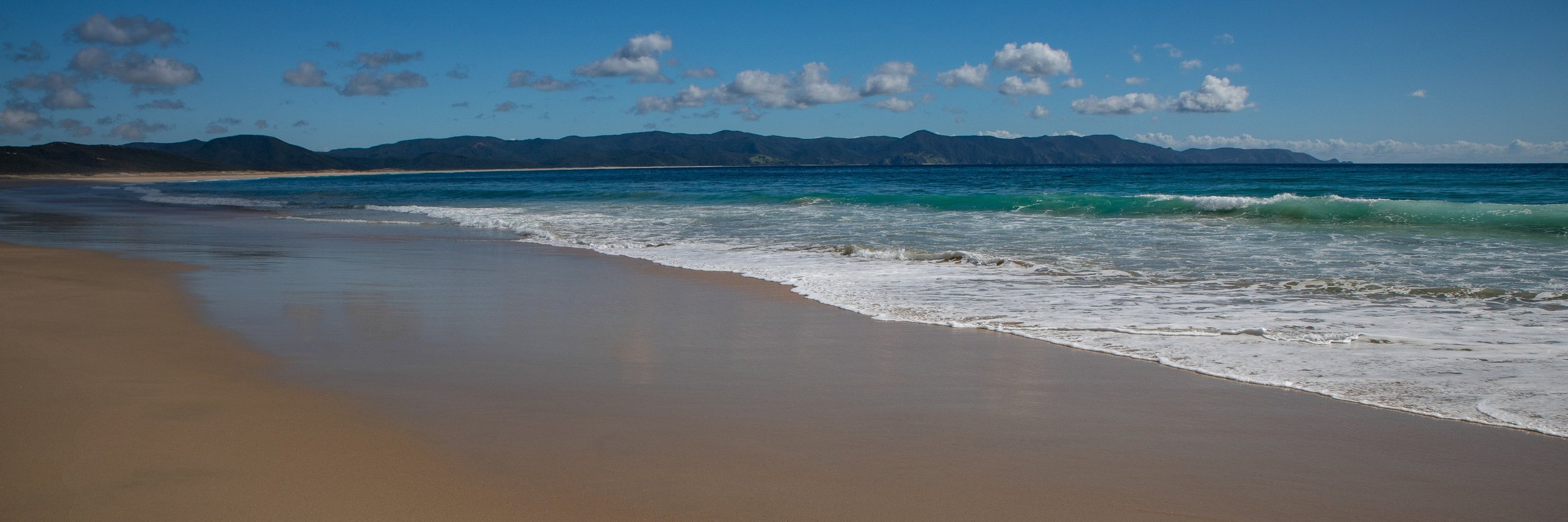 Spirits Bay,Far North,-452.JPG