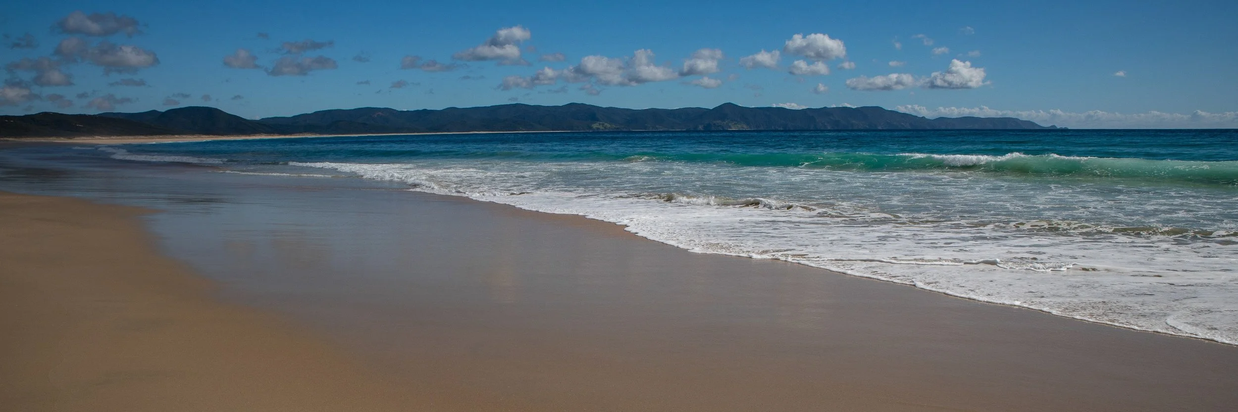 Spirits Bay,Far North,-452.JPG