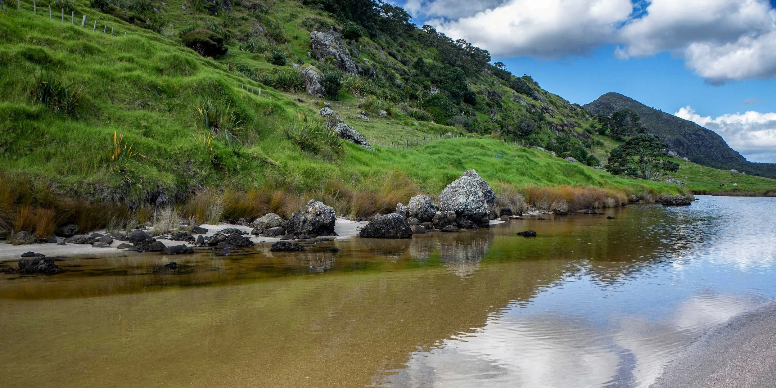 Spirits Bay,Far North,-460.JPG