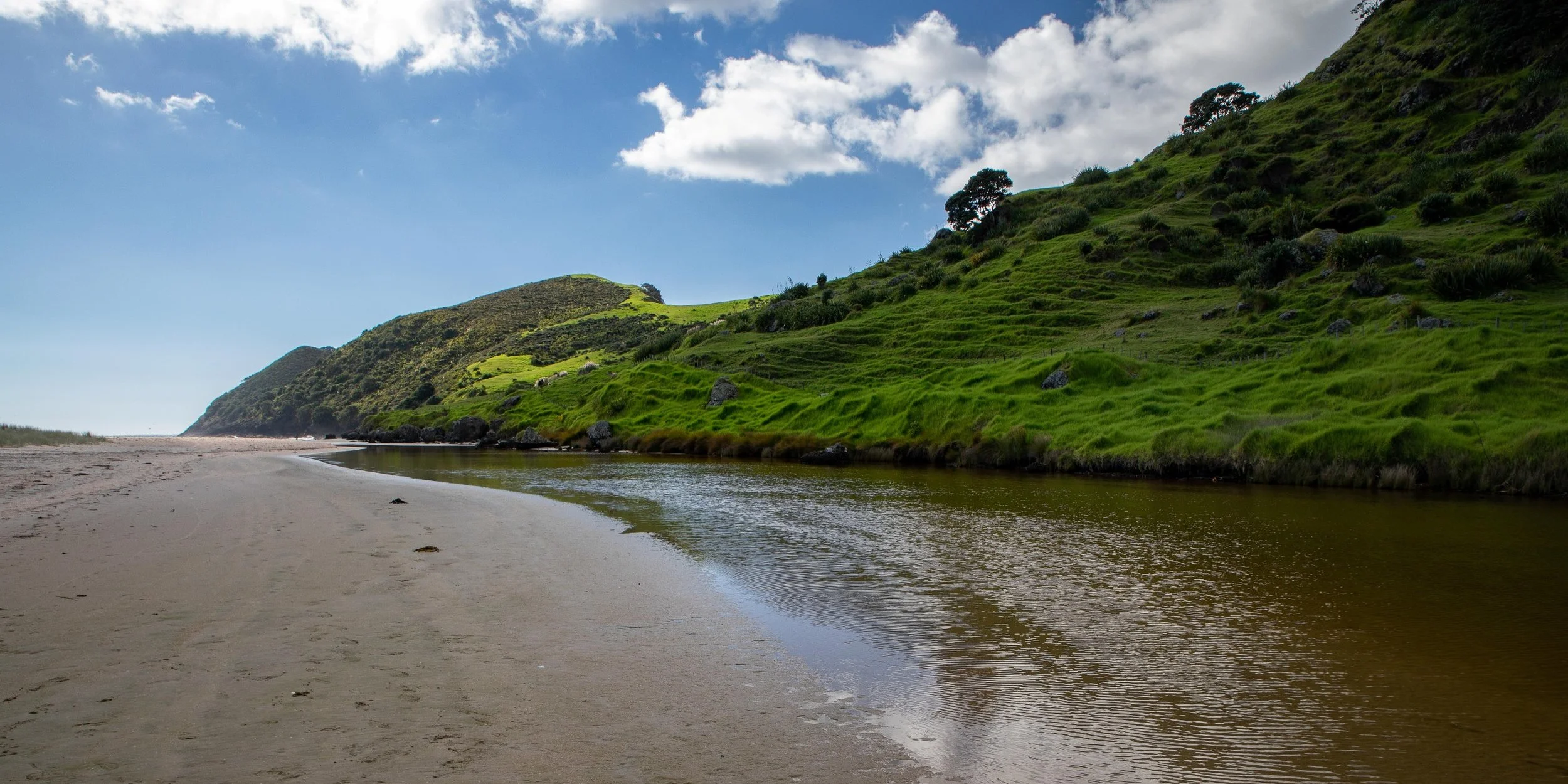 Spirits Bay,Far North,-462.JPG