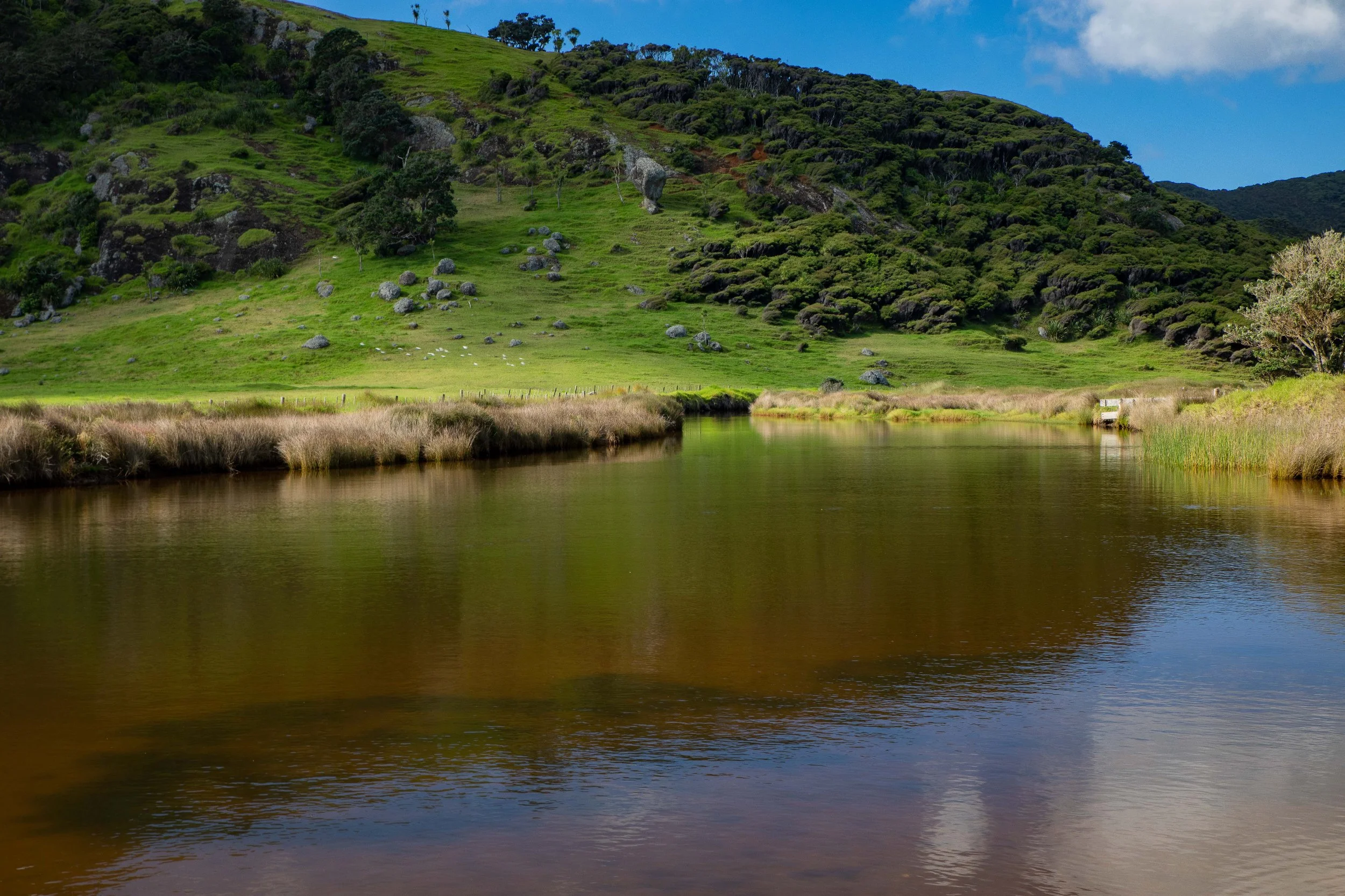 Spirits Bay,Far North,-472.JPG