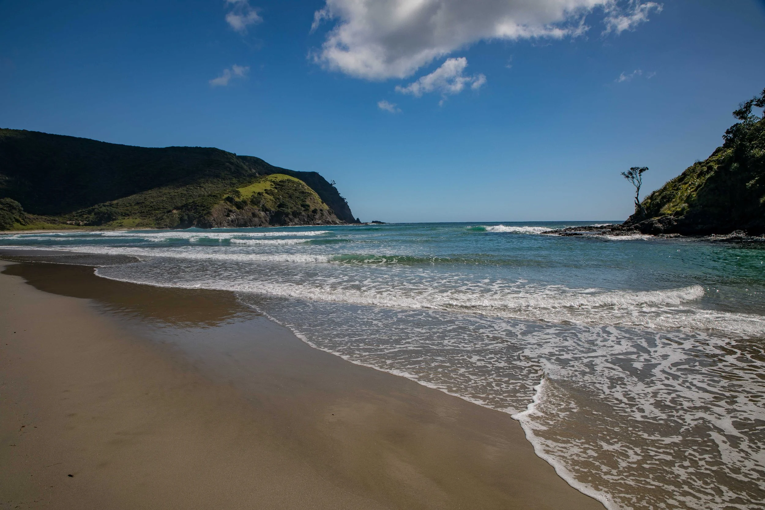 Tapotupotu Bay,Far North,-385.JPG