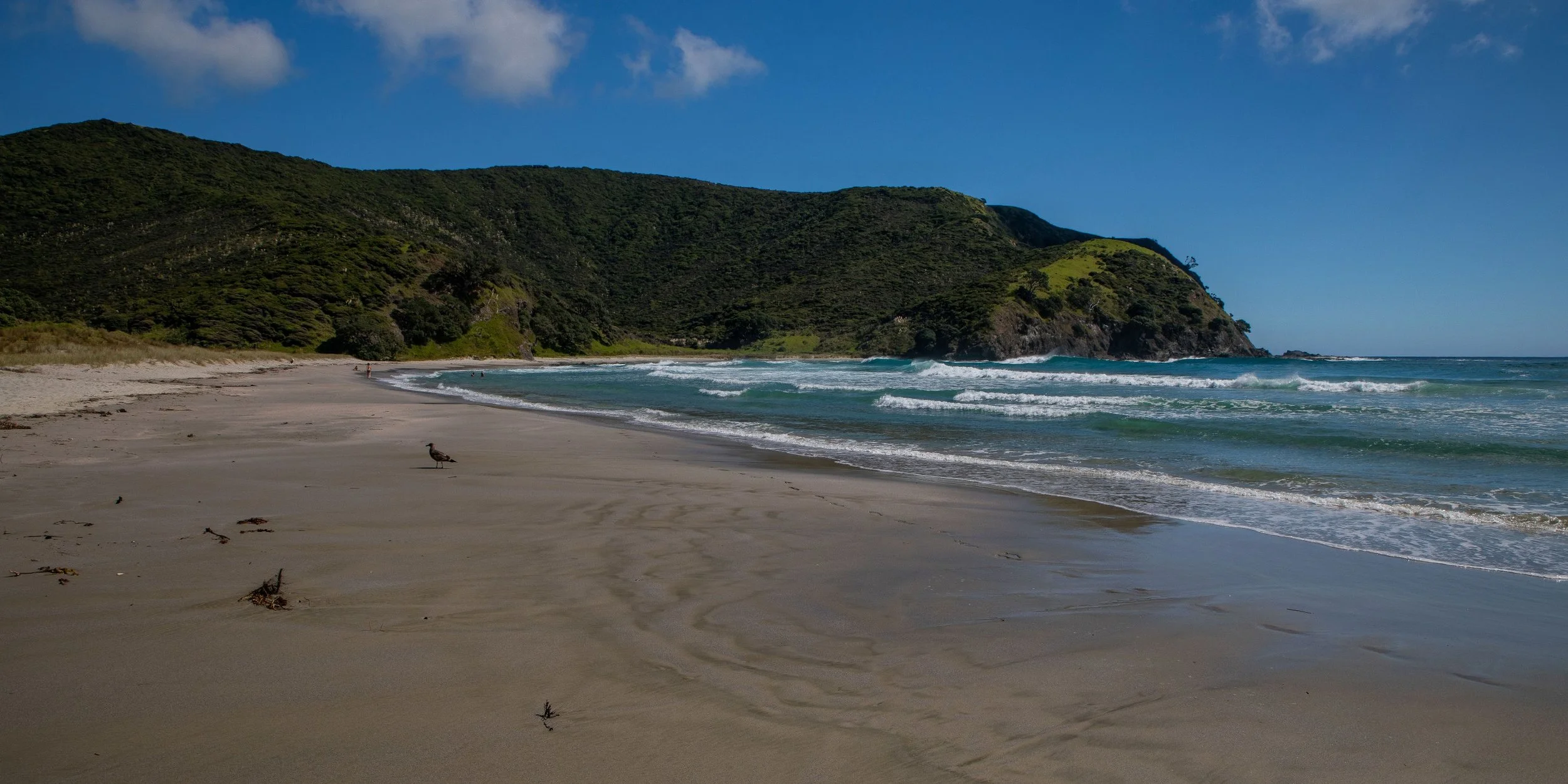 Tapotupotu Bay,Far North,-386.JPG