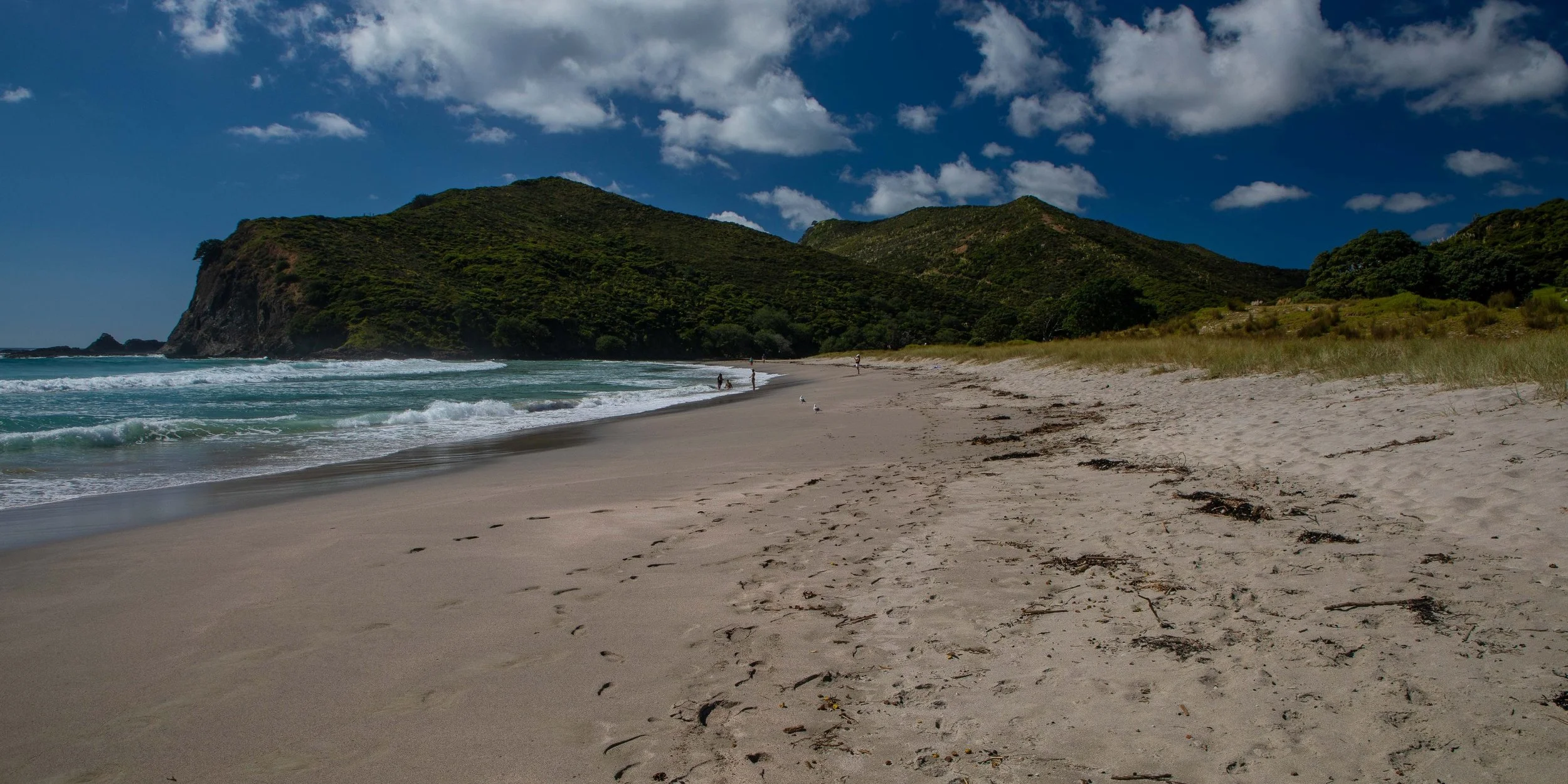 Tapotupotu Bay,Far North,-389.JPG