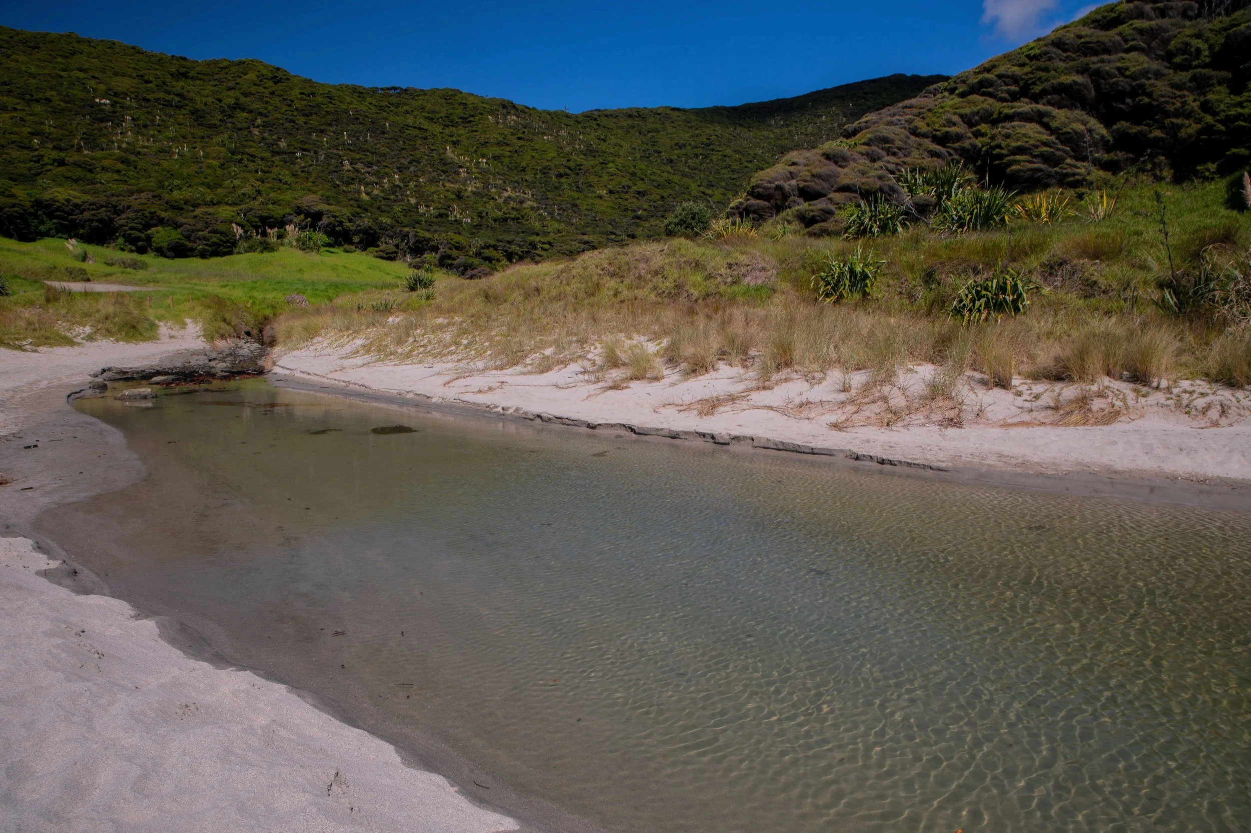 Tapotupotu Bay,Far North,-396.JPG