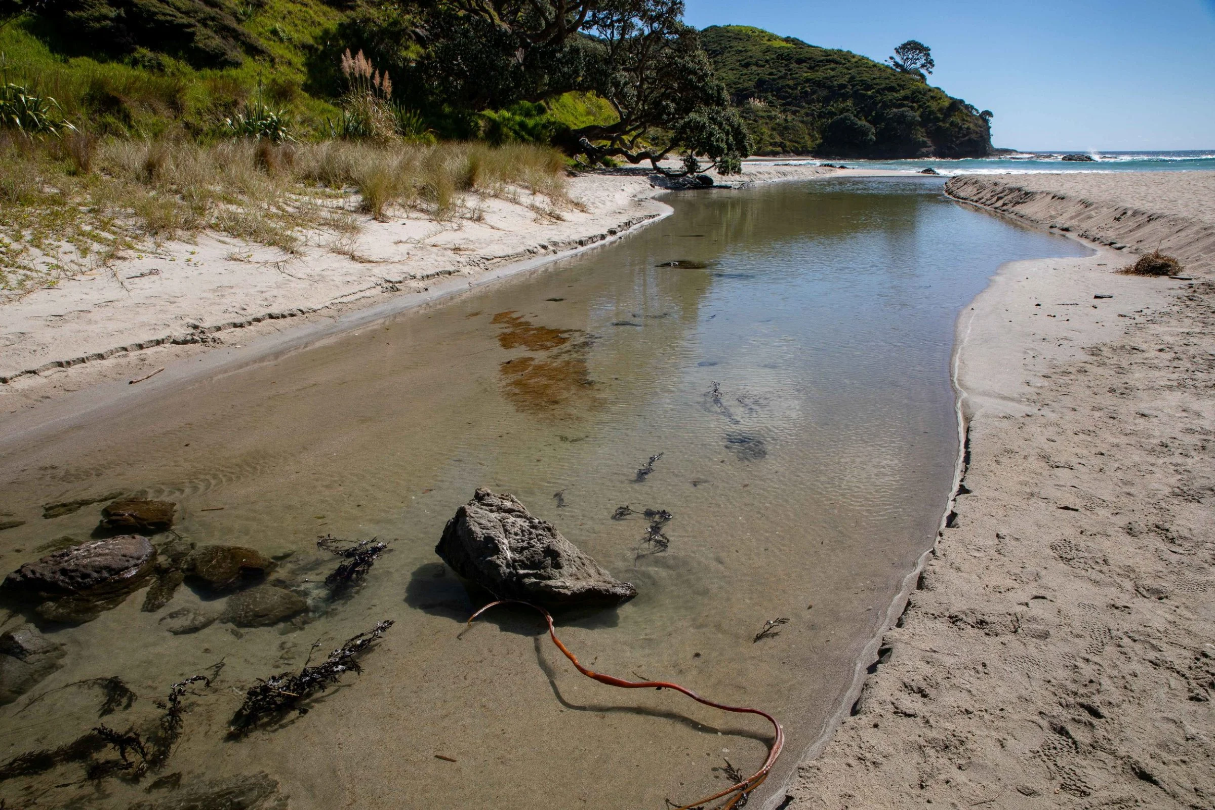 Tapotupotu Bay,Far North,-397.JPG