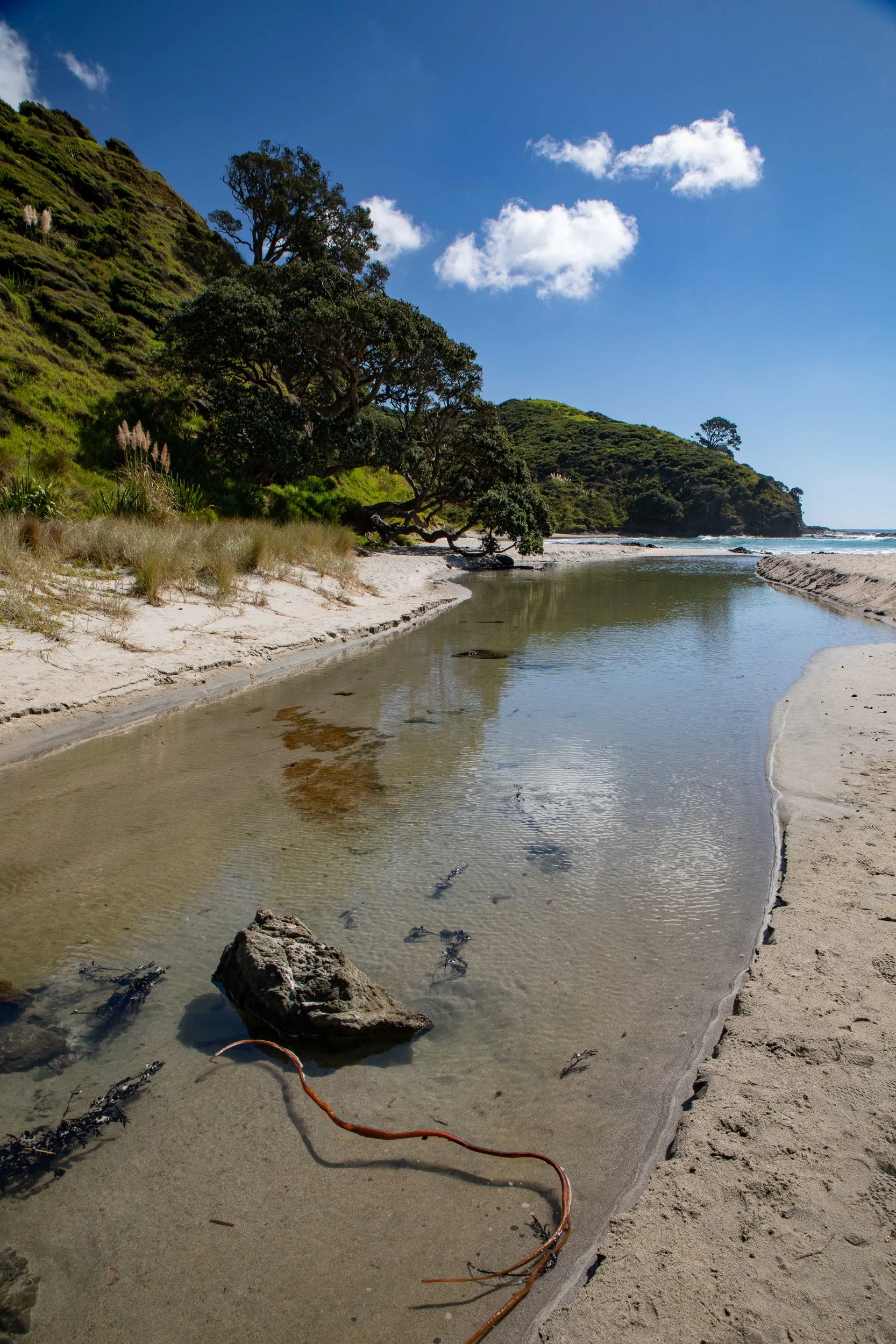 Tapotupotu Bay,Far North,-398.JPG