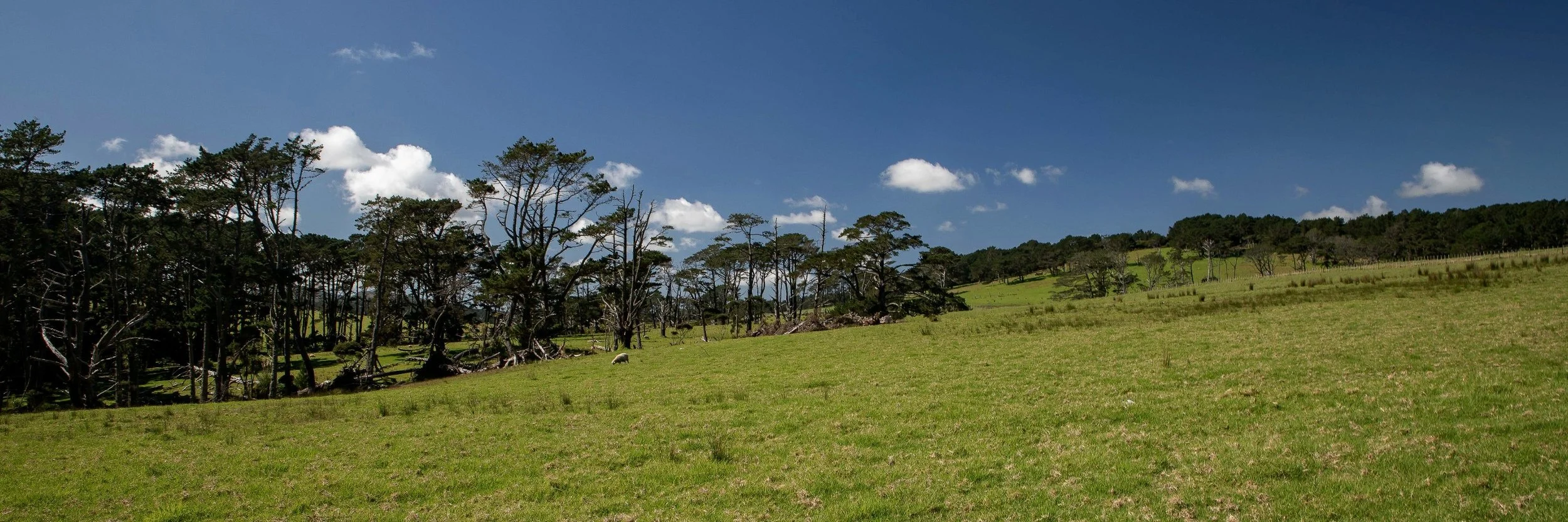 Te Paki,Far North,-407.JPG