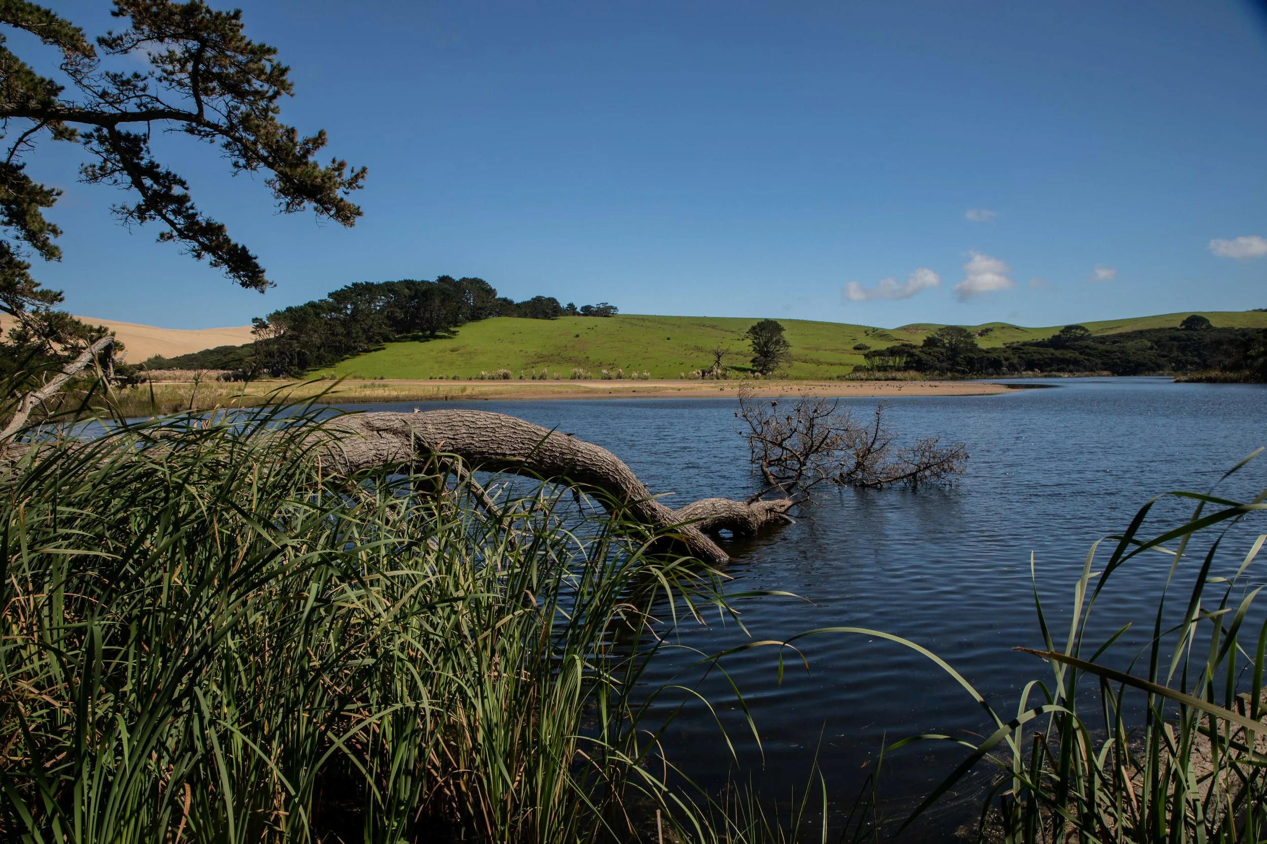 Te Paki,Far North,-410.JPG