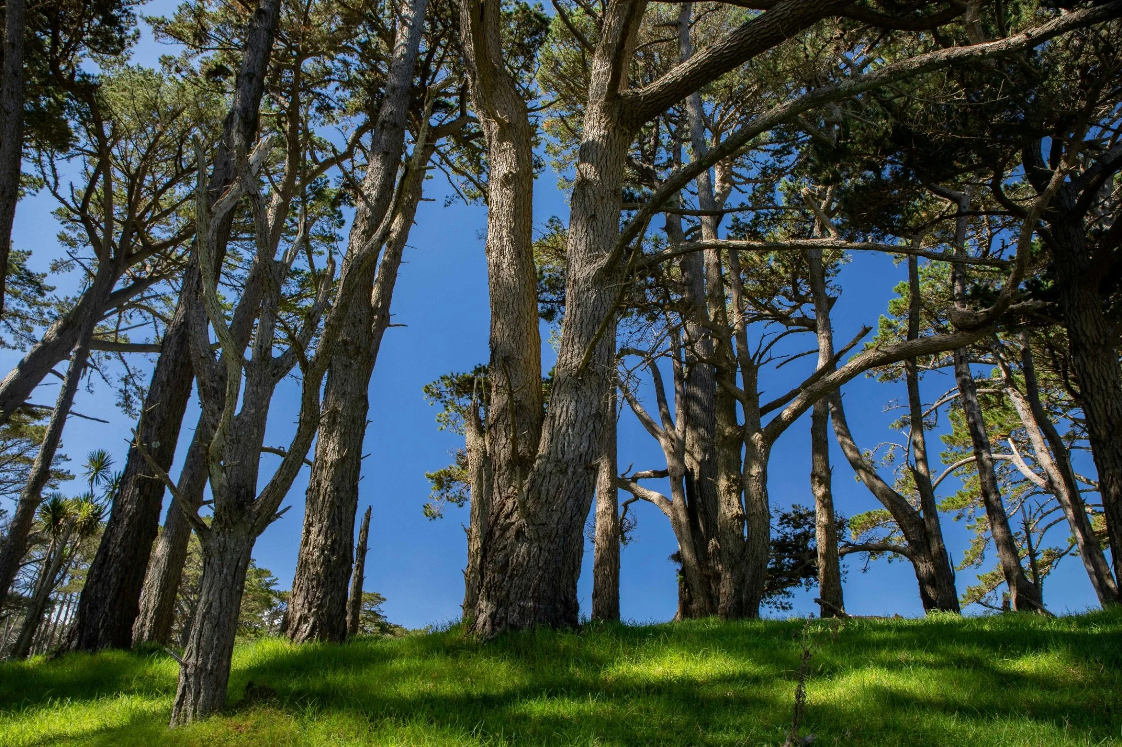 Te Paki,Far North,-417.JPG