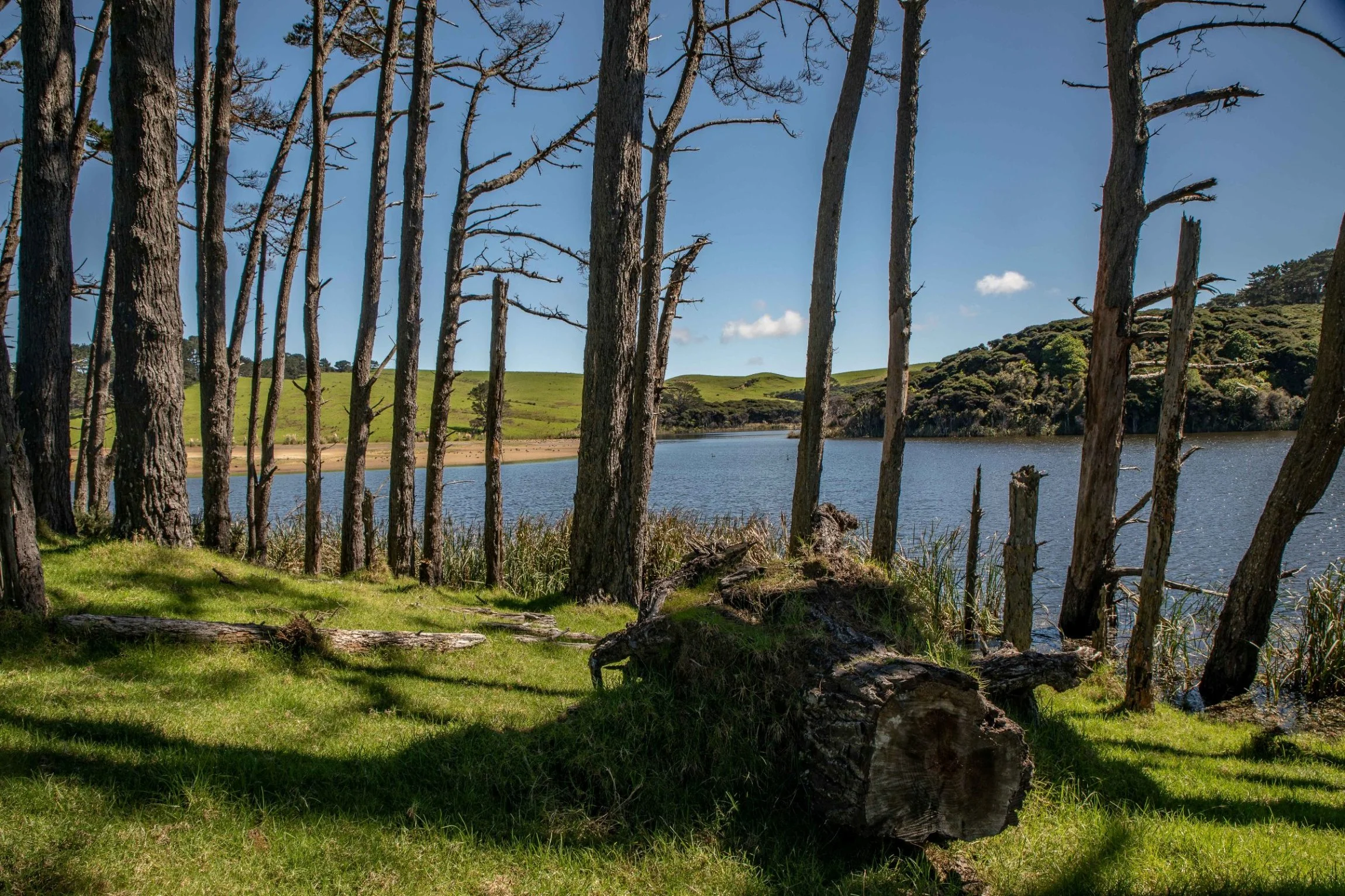 Te Paki,Far North,-420.JPG