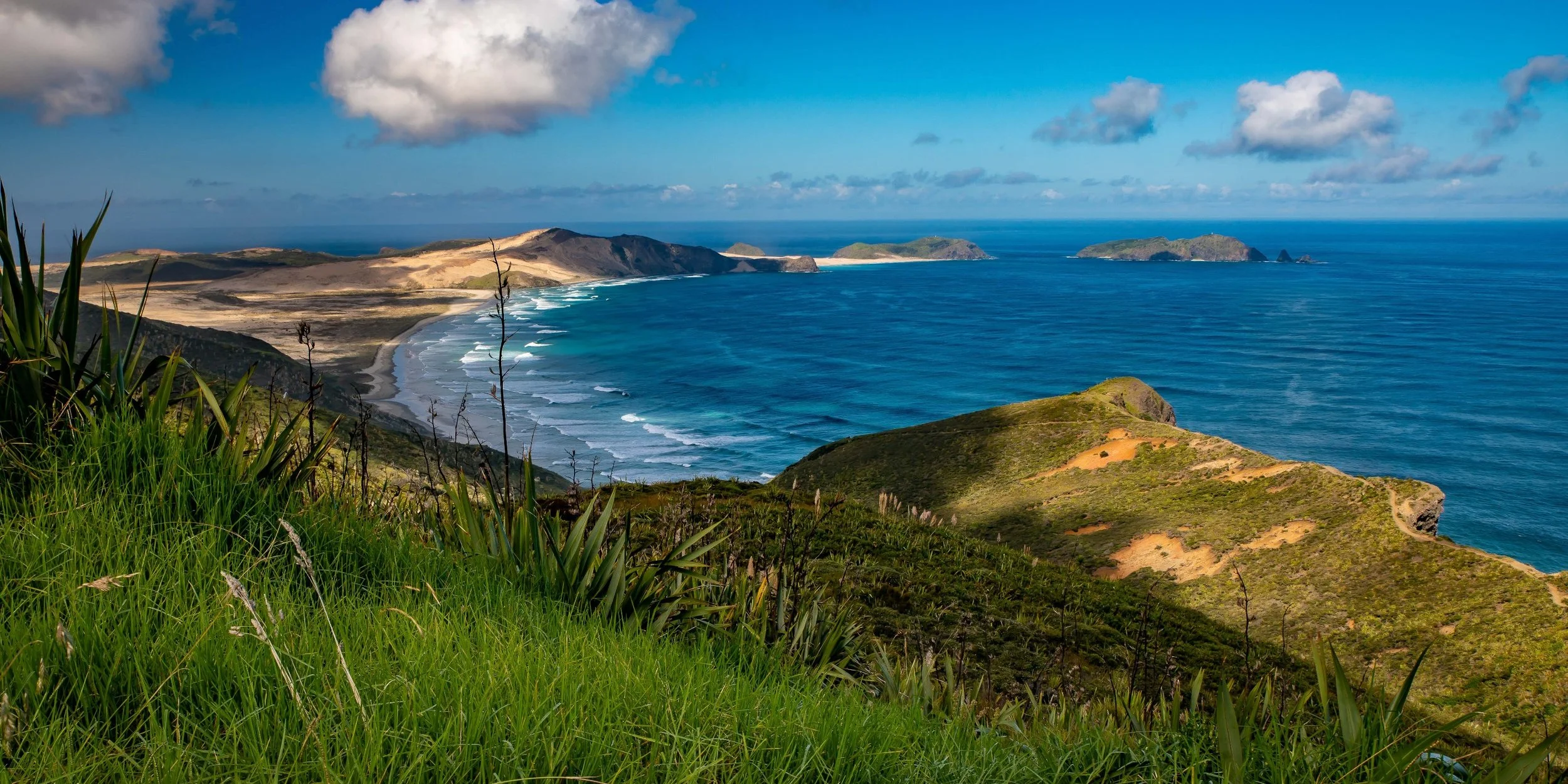 Te Werahi Beach,Far North,-351.JPG