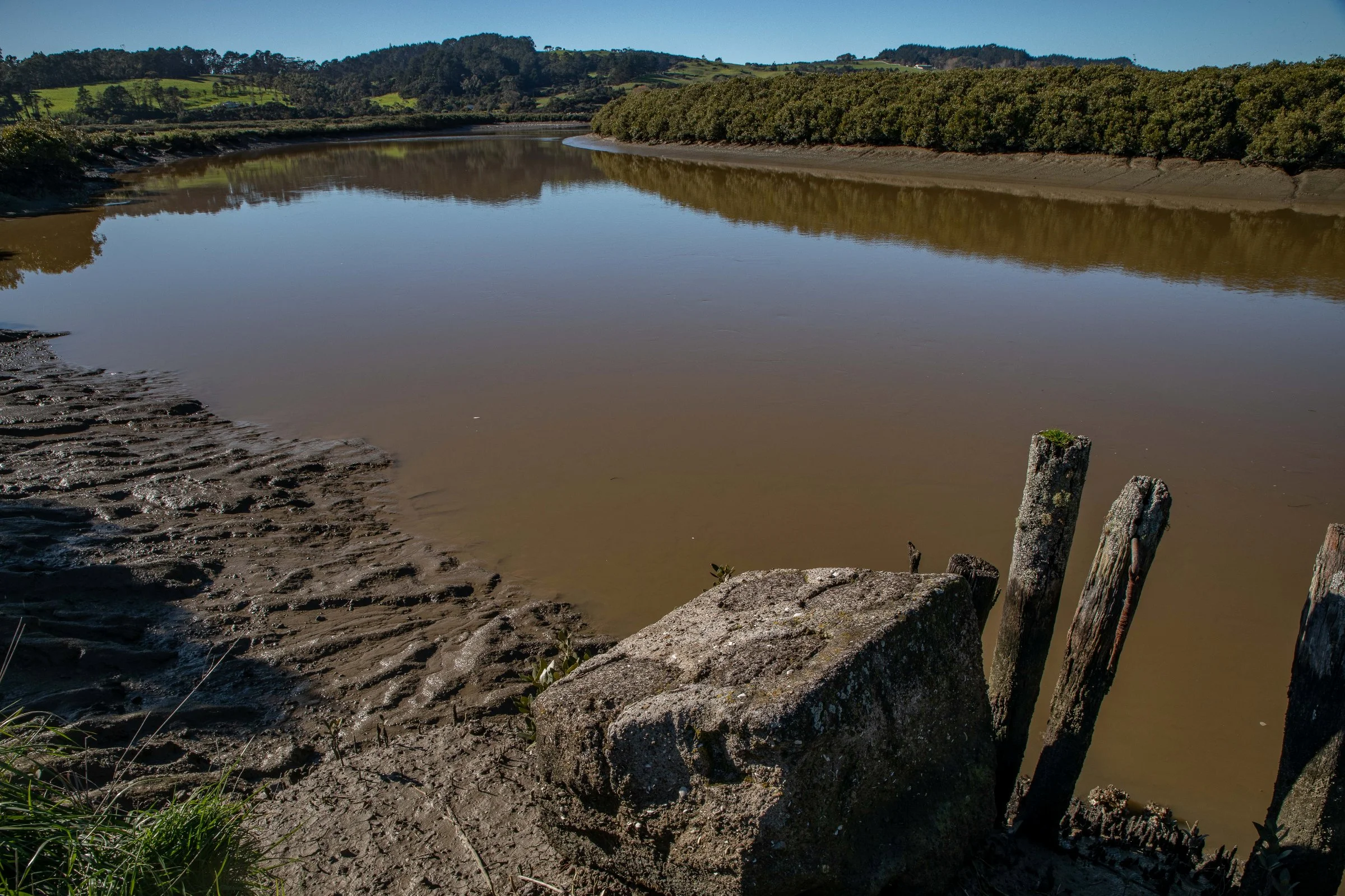 Kaipara River,-348.JPG