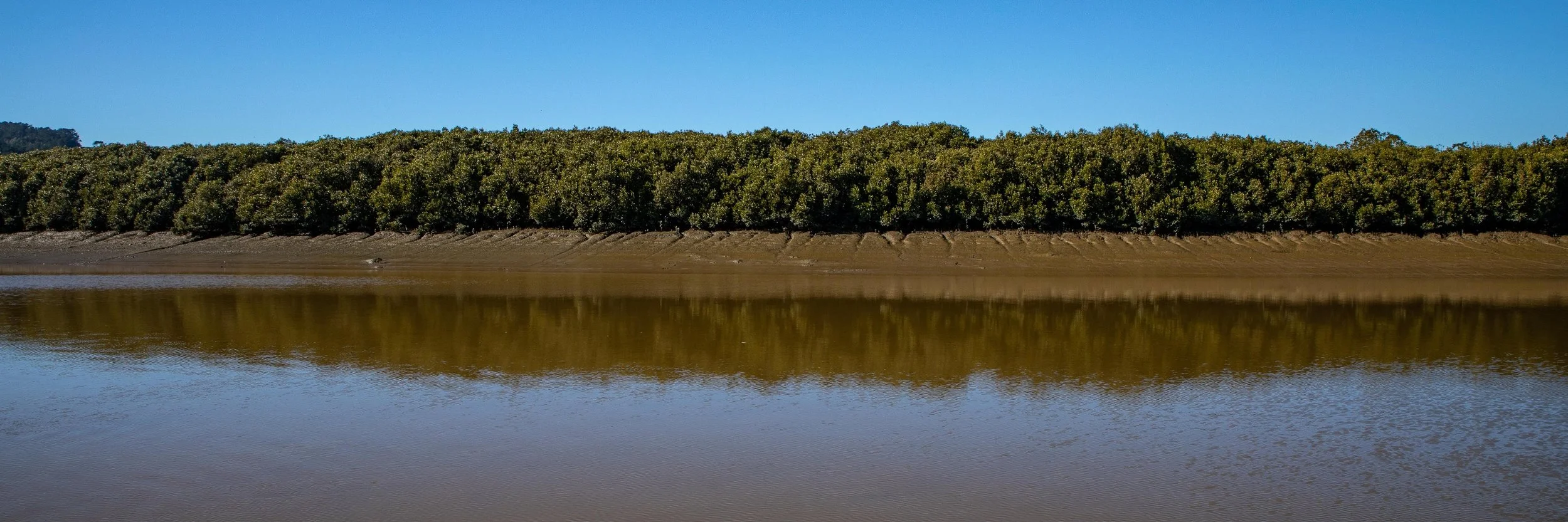 Kaipara River,-353.JPG