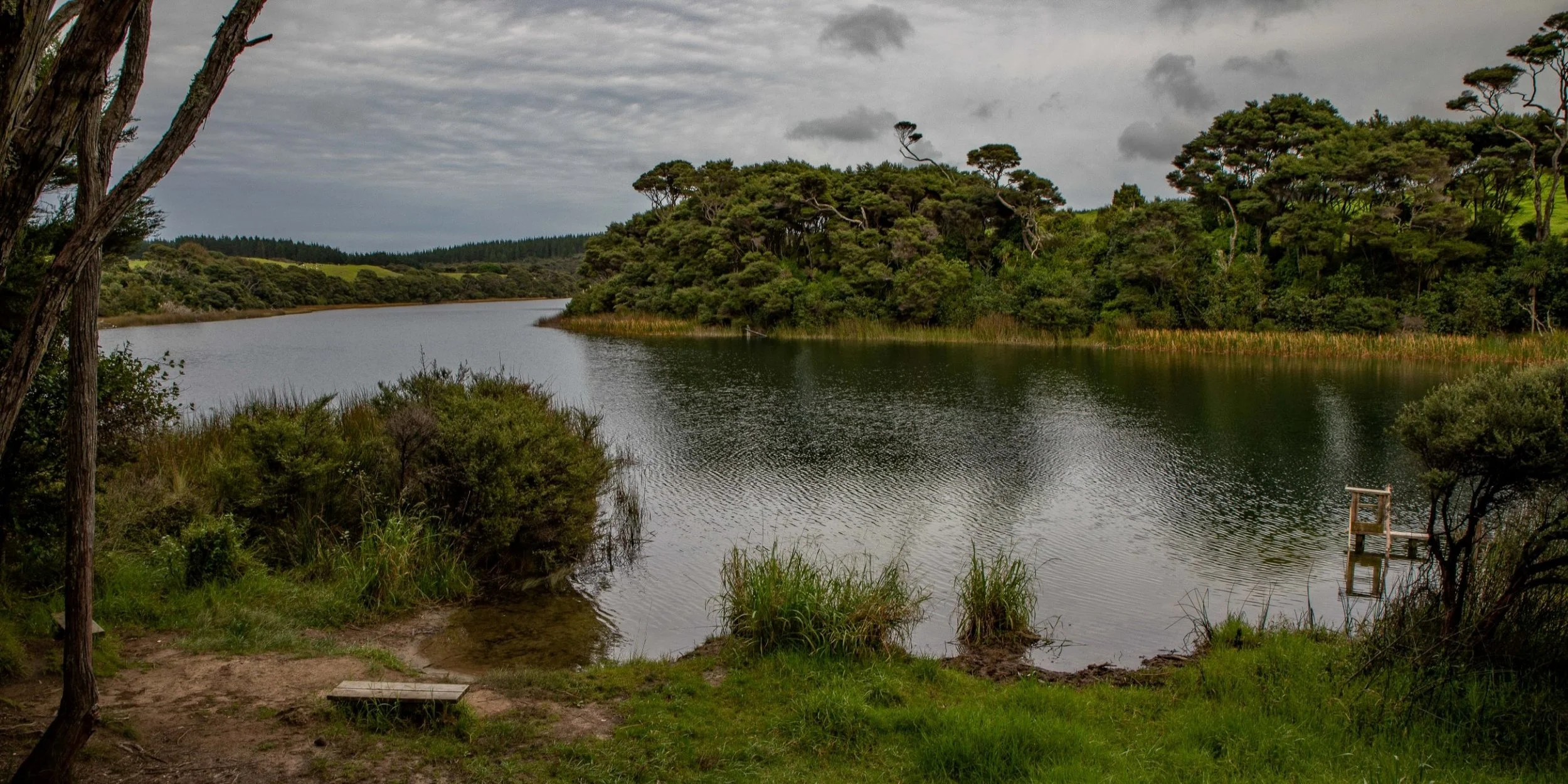 Lake Ototoa,-276.JPG