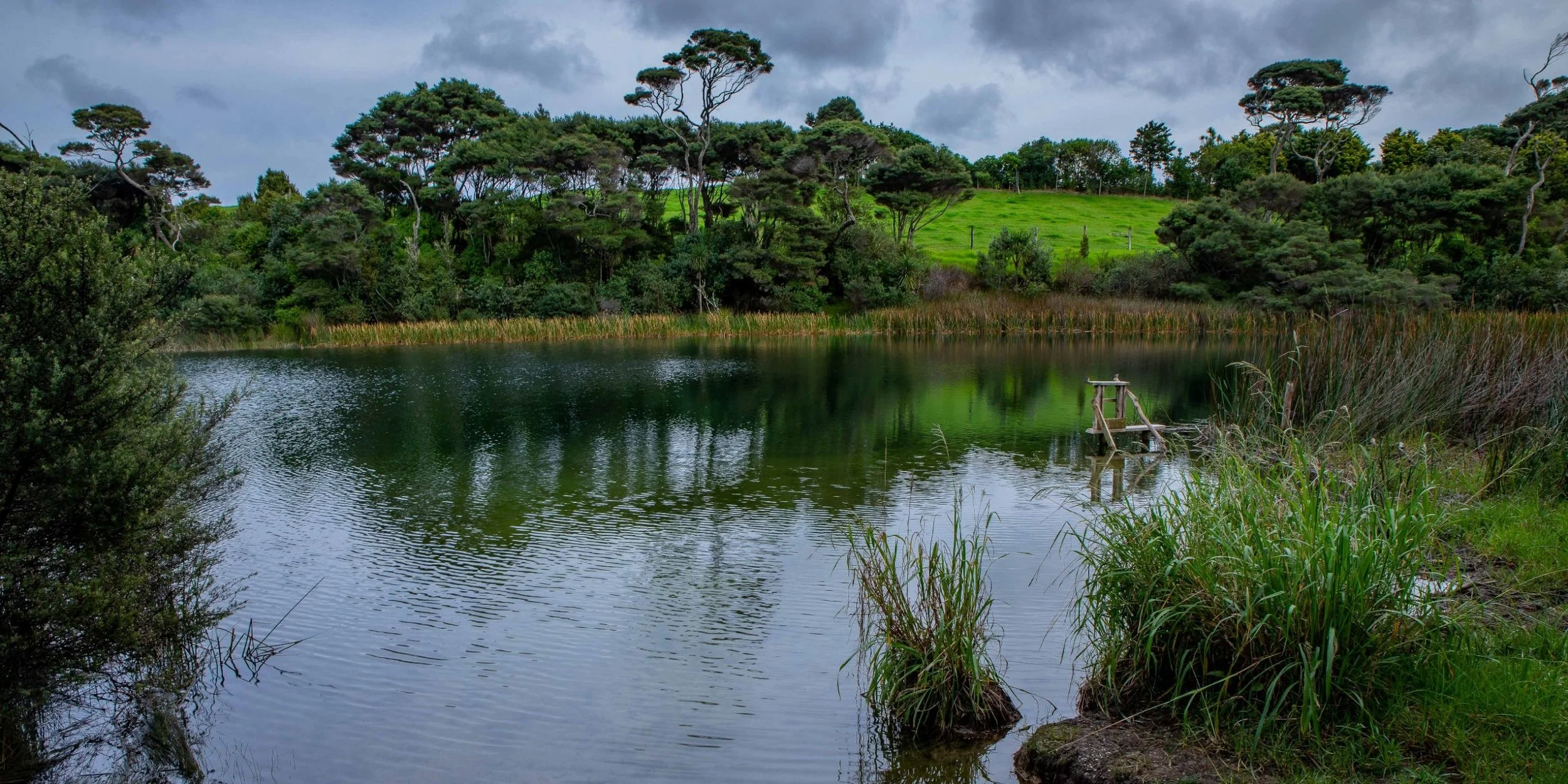 Lake Ototoa,-277.JPG