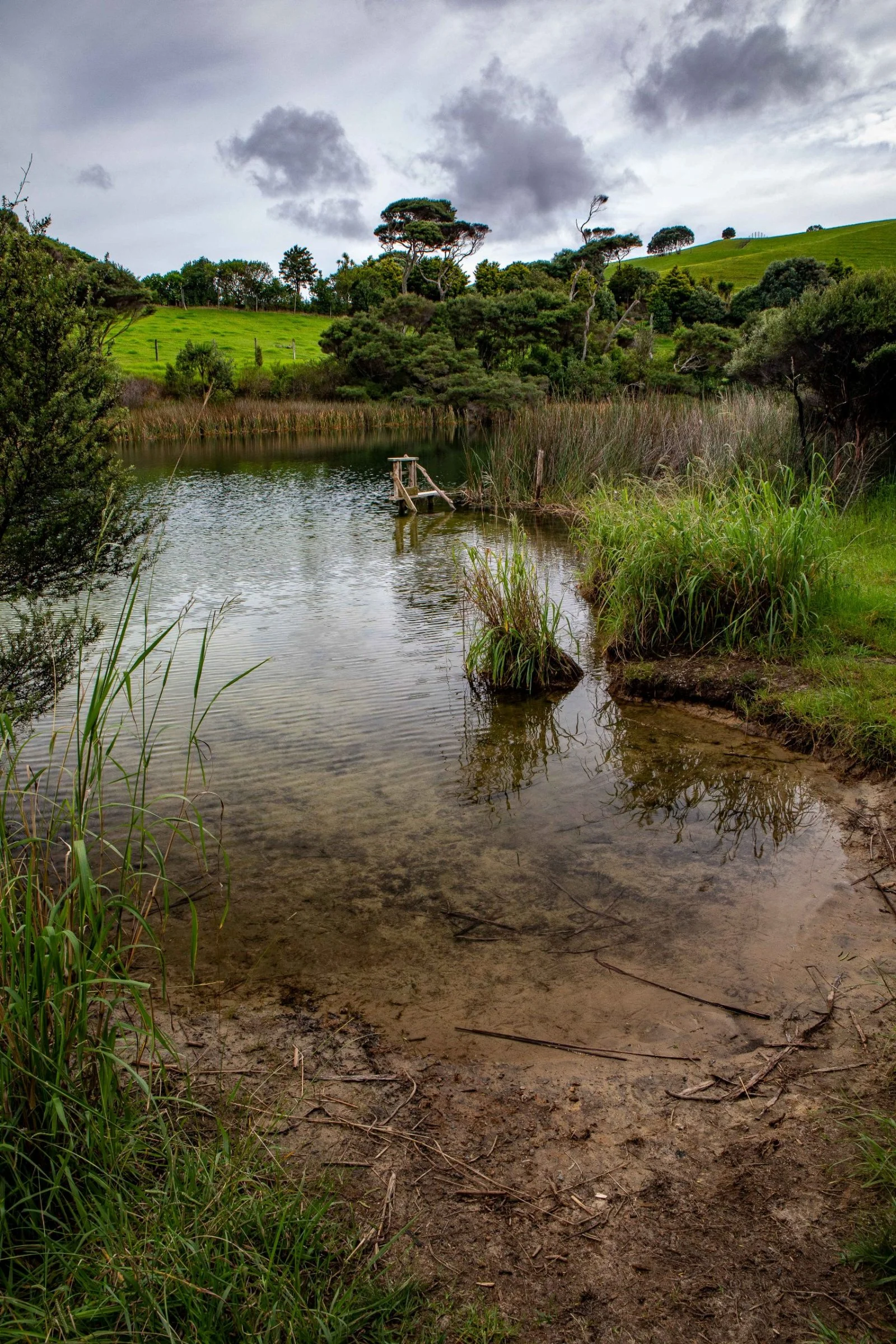 Lake Ototoa,-281.JPG